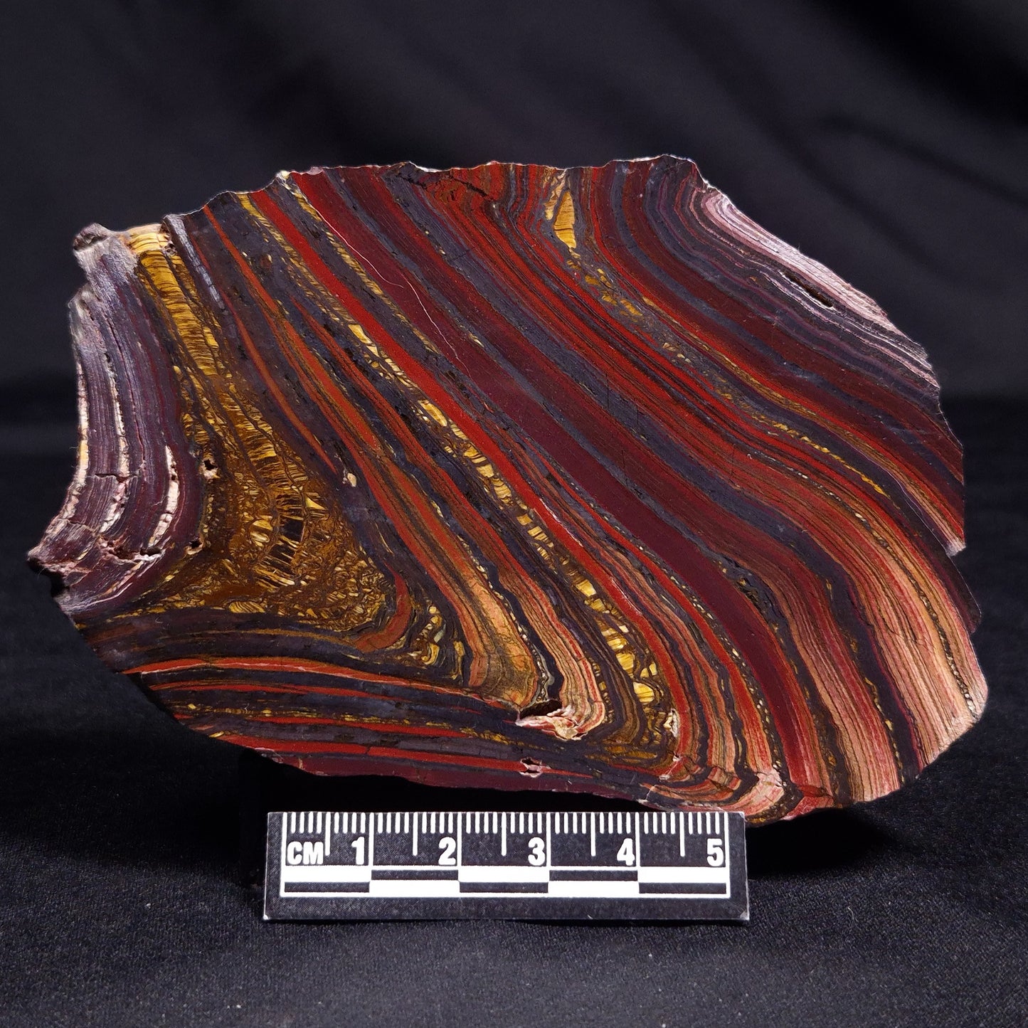 BANDED TIGER IRON MICROBIALITE, Archean, Australia ZBI055