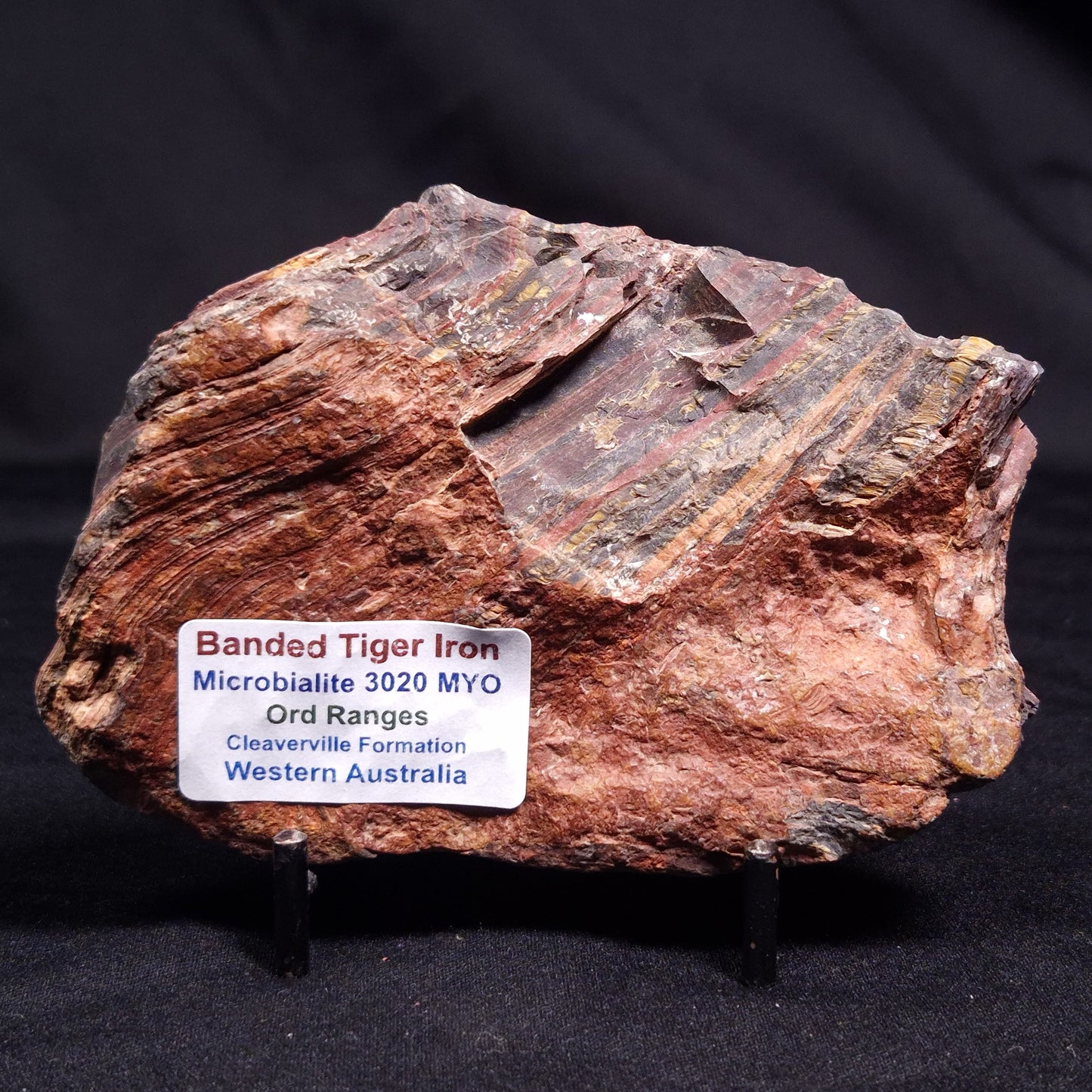 BANDED TIGER IRON MICROBIALITE, Archean, Australia ZBI055