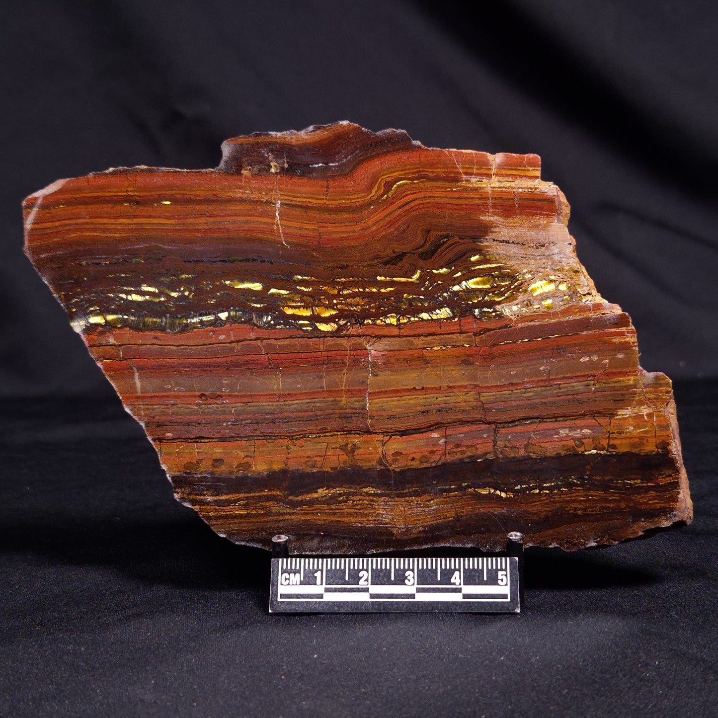 BANDED TIGER IRON MICROBIALITE, Archean, Australia ZBI057