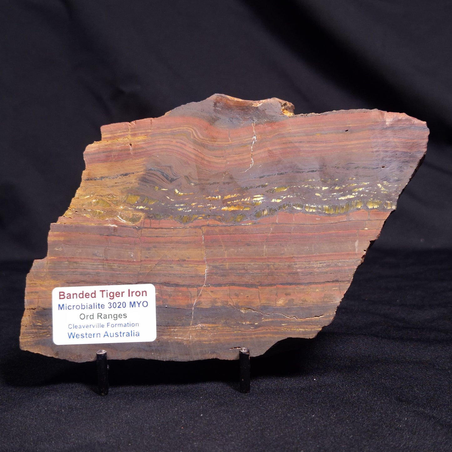 BANDED TIGER IRON MICROBIALITE, Archean, Australia ZBI057