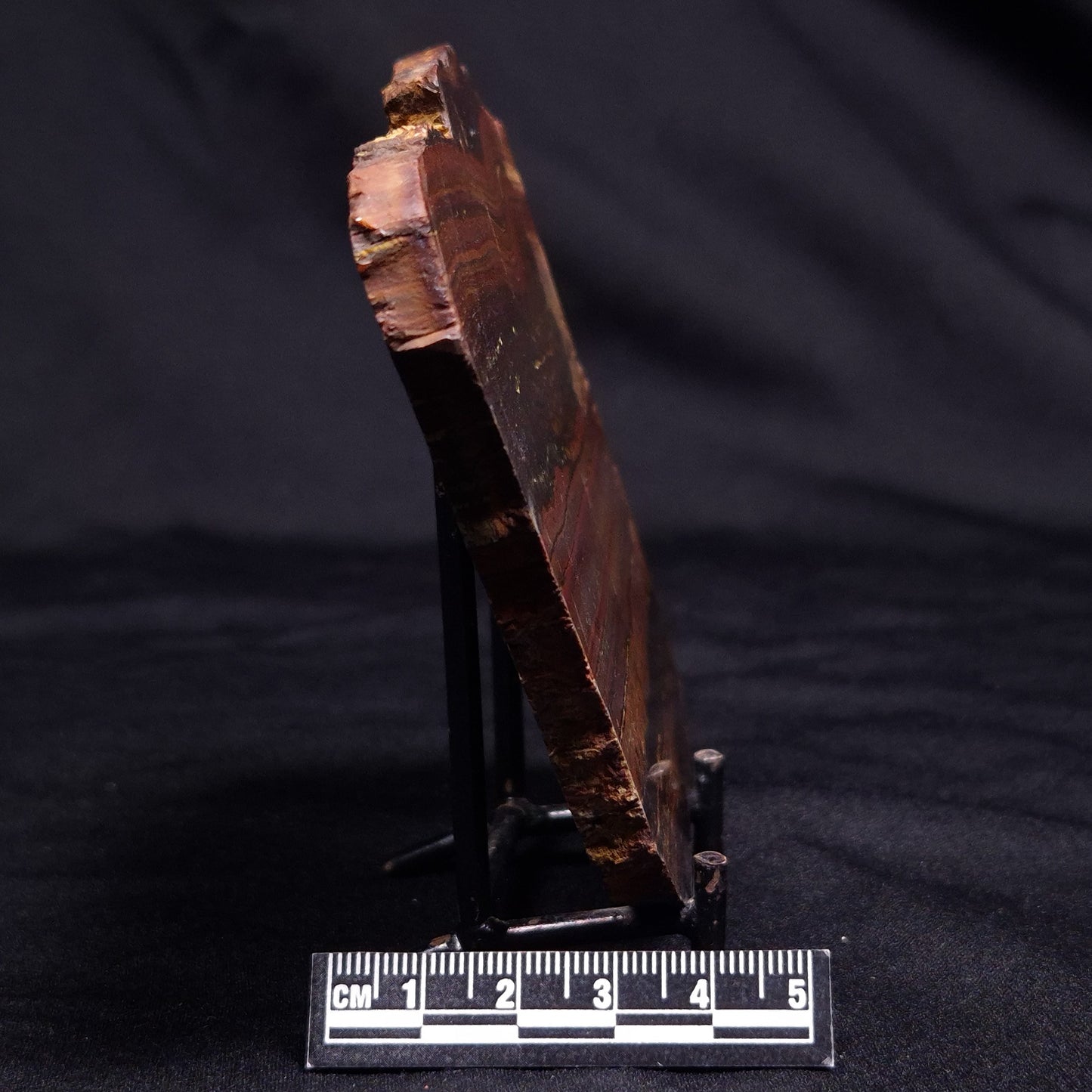 BANDED TIGER IRON MICROBIALITE, Archean, Australia ZBI057