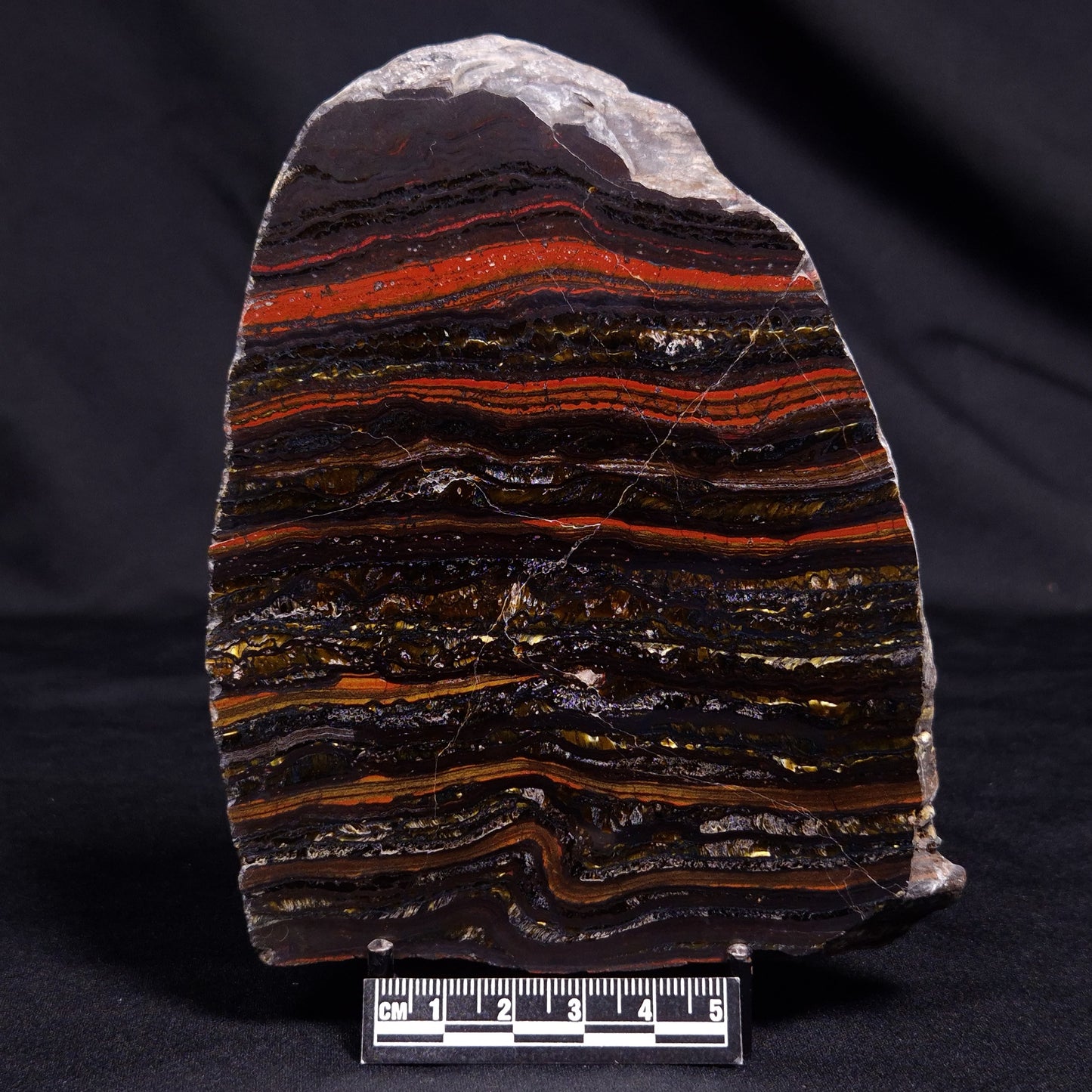 BANDED TIGER IRON MICROBIALITE, Archean, Australia ZBI058