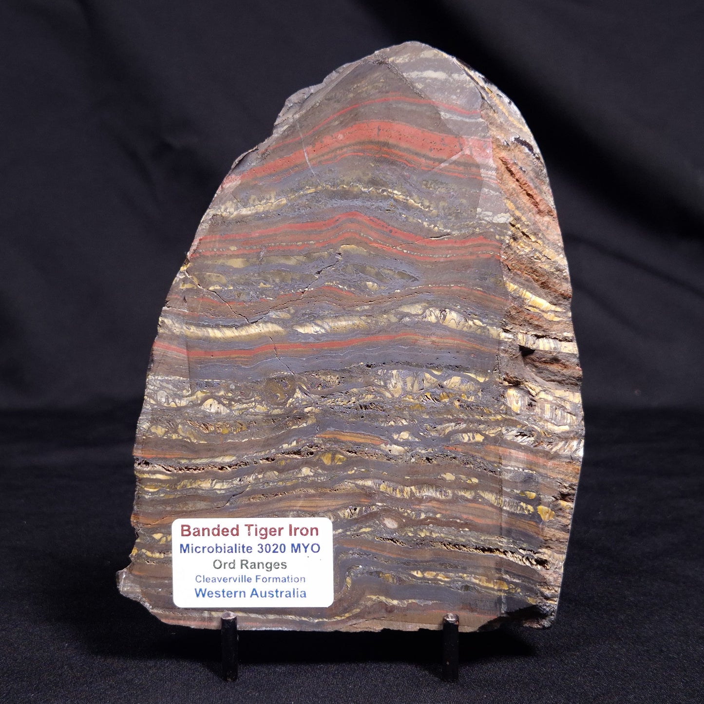 BANDED TIGER IRON MICROBIALITE, Archean, Australia ZBI058