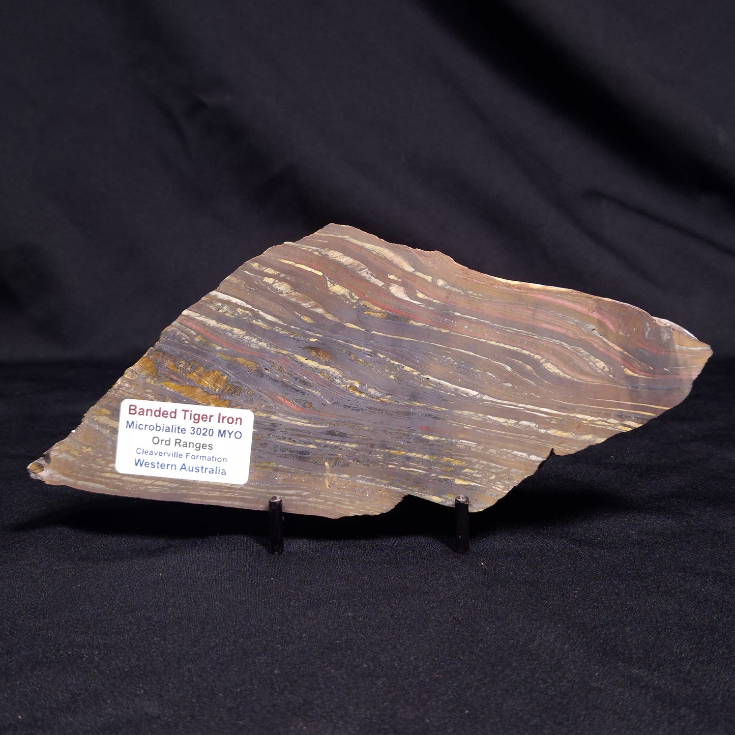 BANDED TIGER IRON MICROBIALITE, Archean, Australia ZBI059