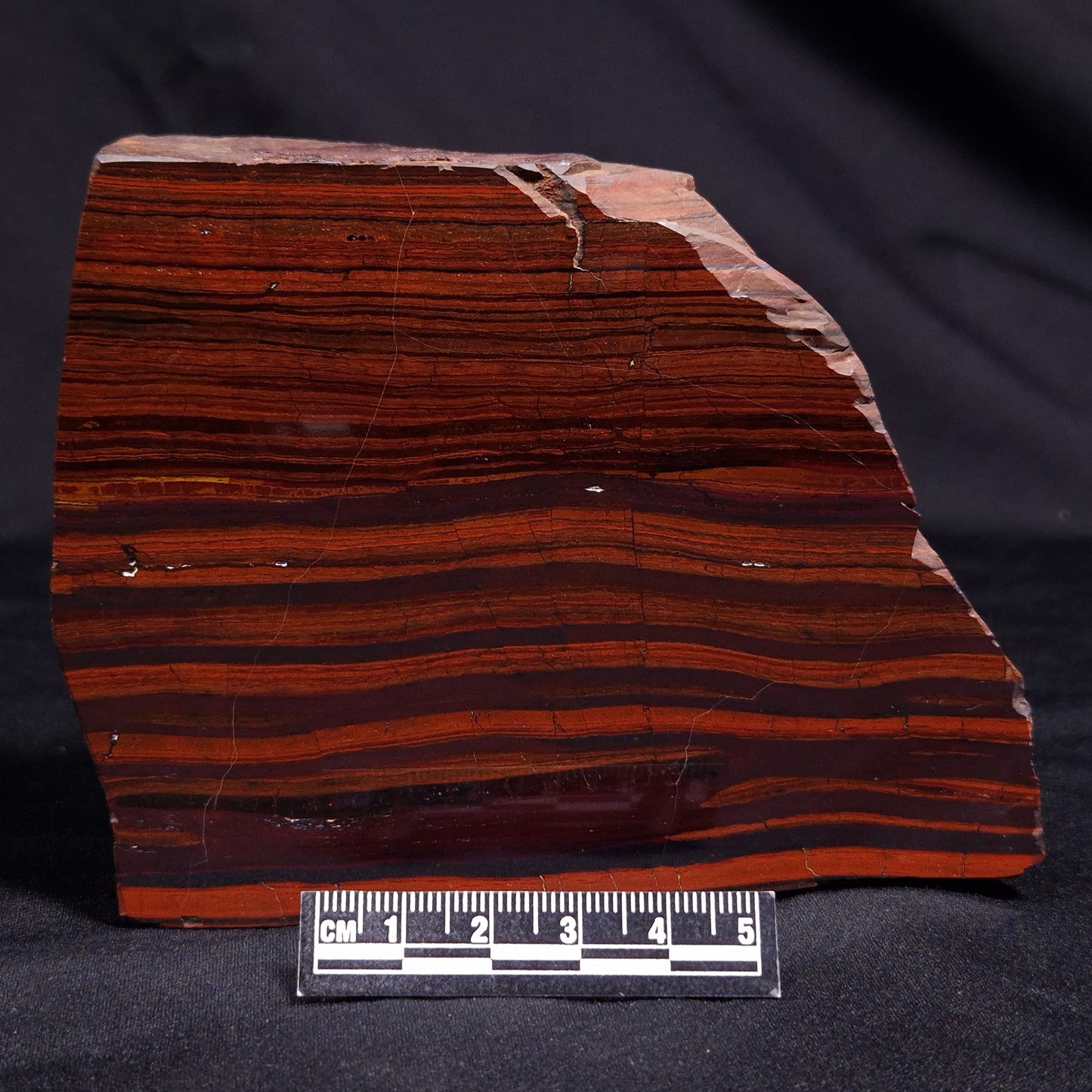 BANDED TIGER IRON MICROBIALITE, Archean, Australia ZBI060