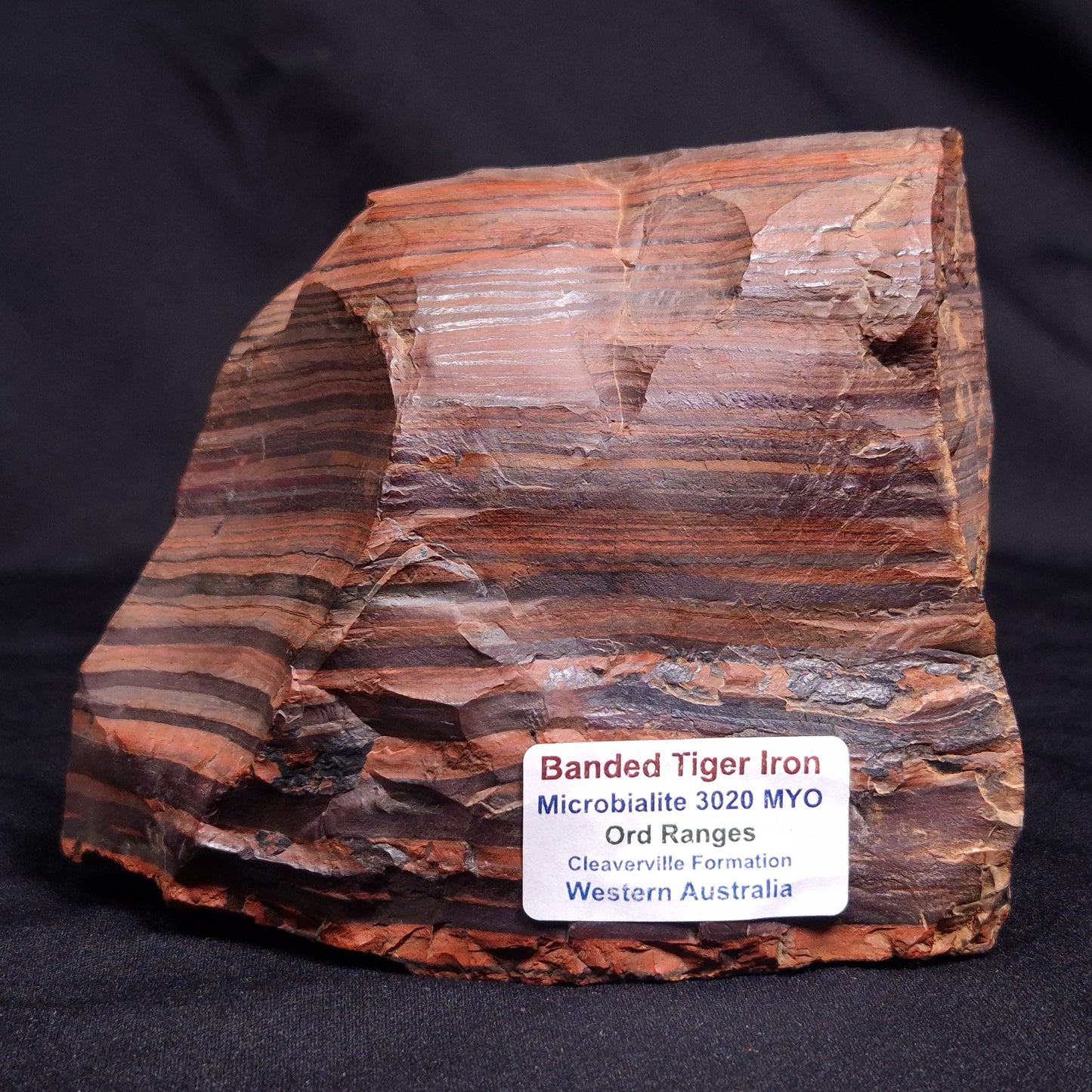 BANDED TIGER IRON MICROBIALITE, Archean, Australia ZBI060