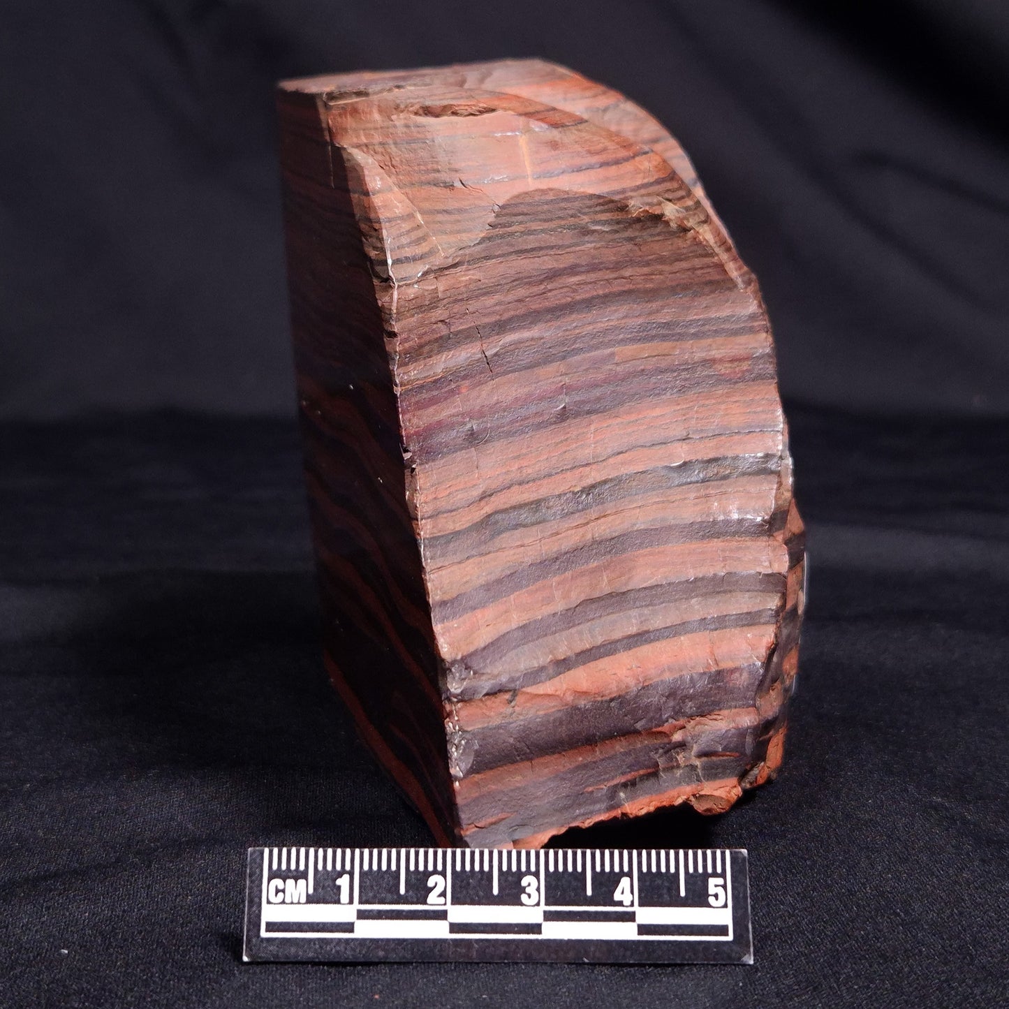 BANDED TIGER IRON MICROBIALITE, Archean, Australia ZBI060