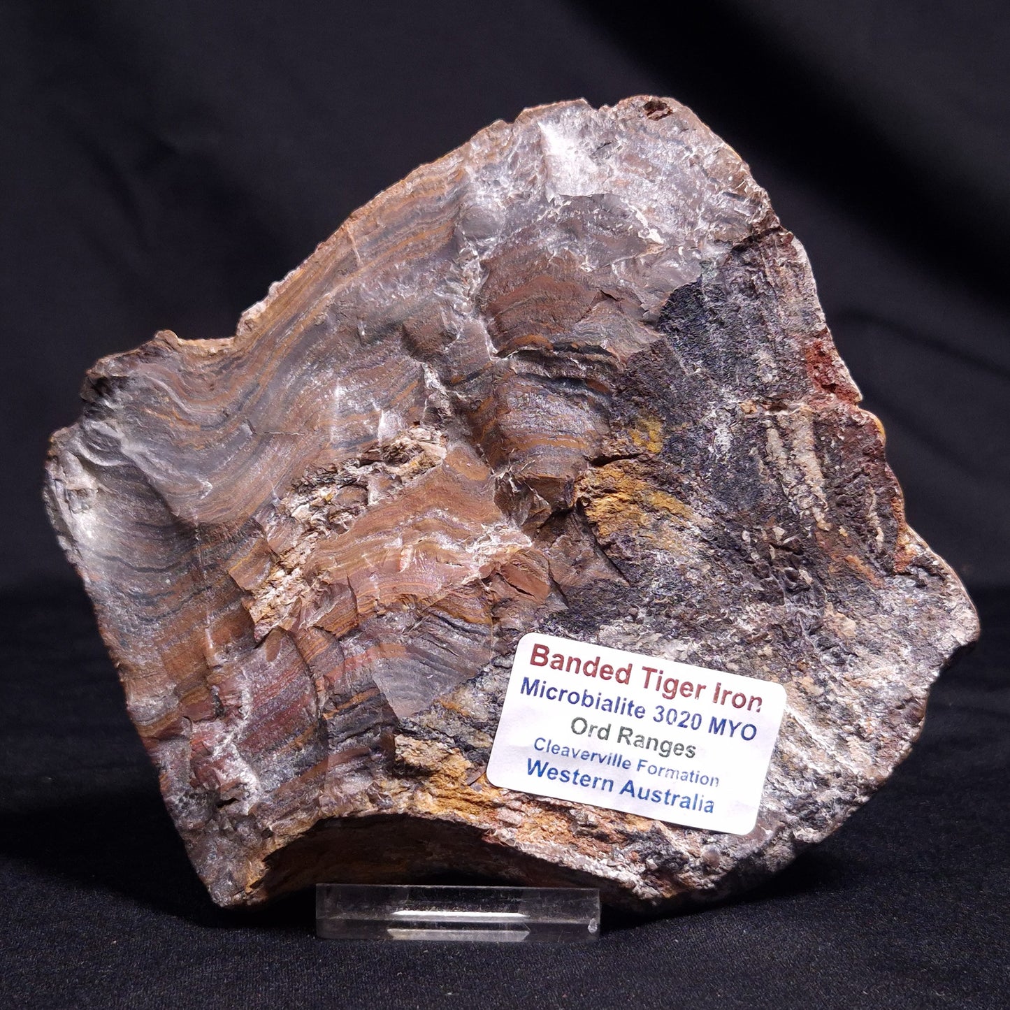 BANDED TIGER IRON MICROBIALITE, Archean, Australia ZBI061