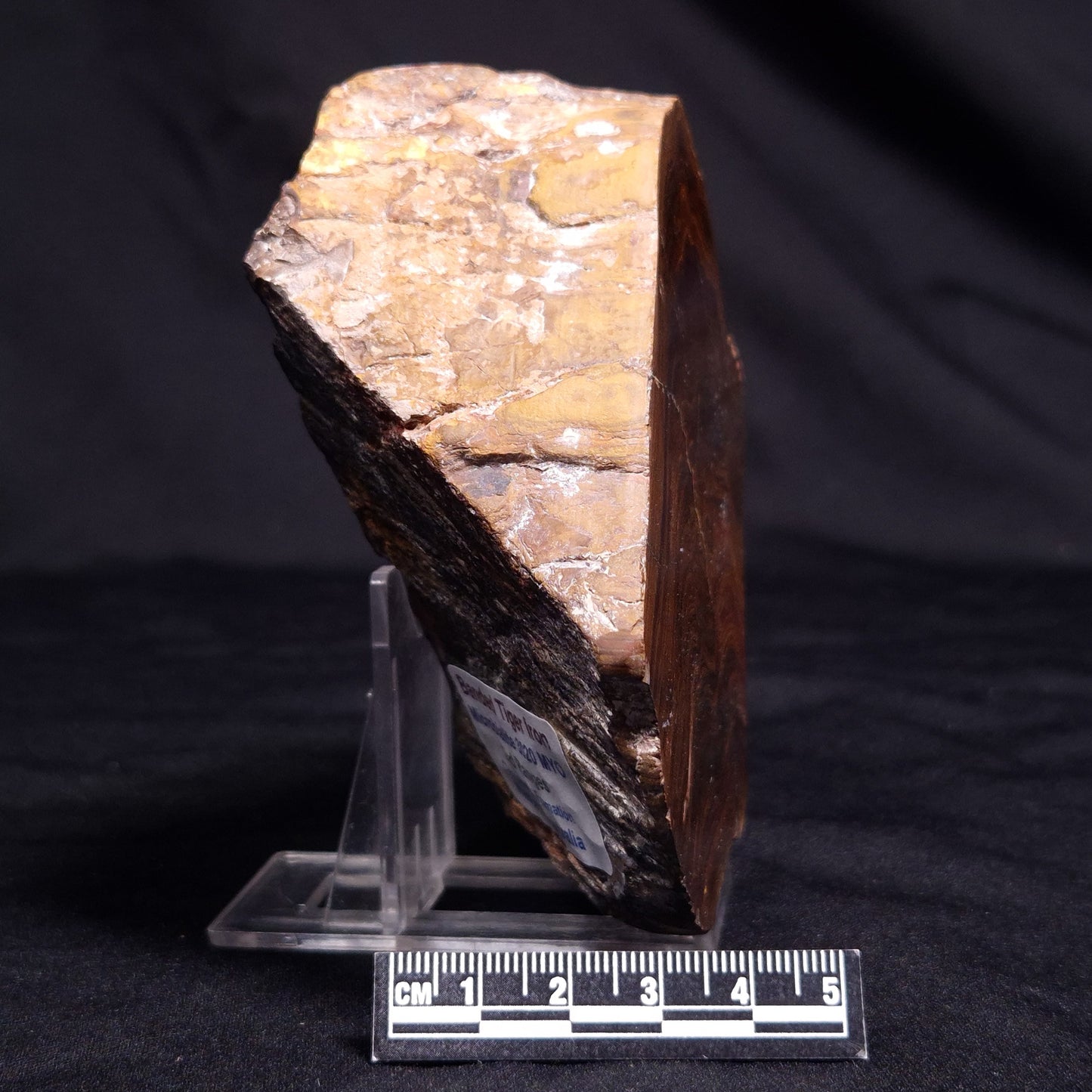 BANDED TIGER IRON MICROBIALITE, Archean, Australia ZBI061