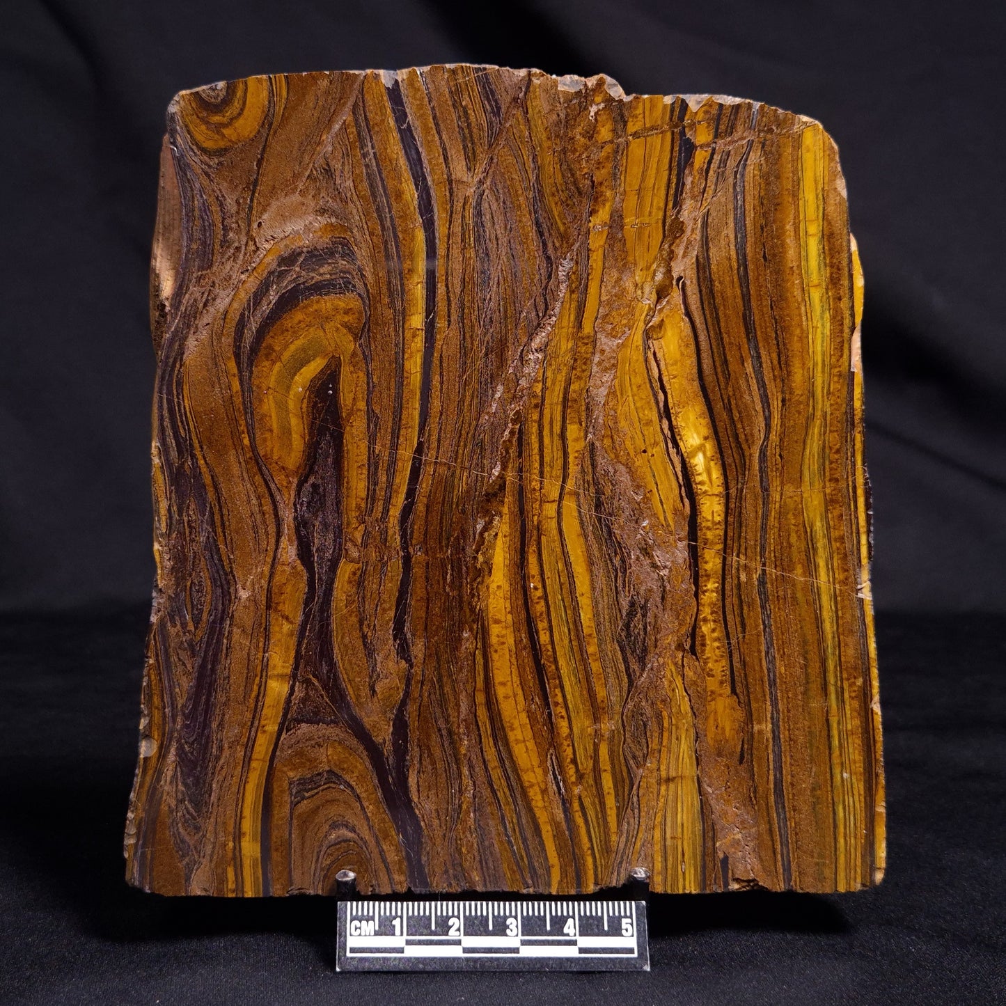 BANDED TIGER IRON MICROBIALITE, Archean, Australia ZBI062