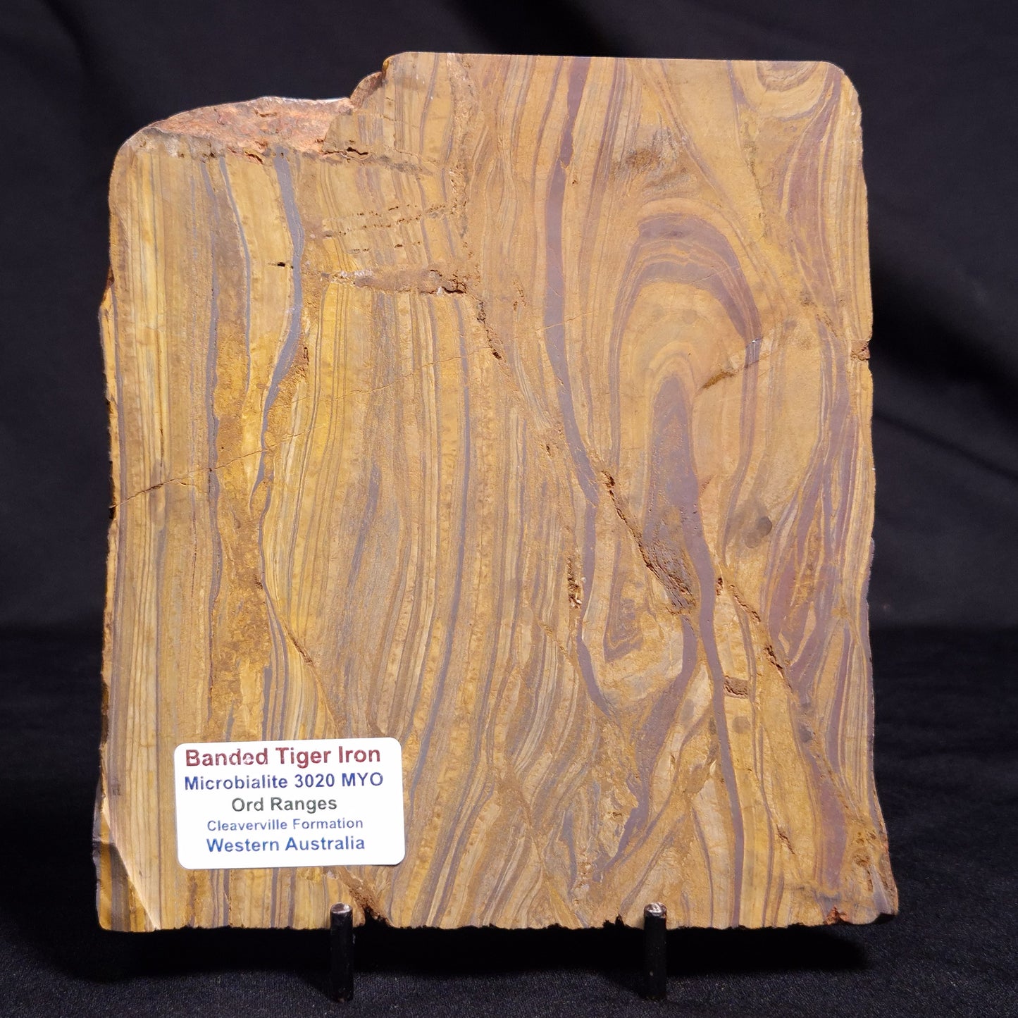 BANDED TIGER IRON MICROBIALITE, Archean, Australia ZBI062