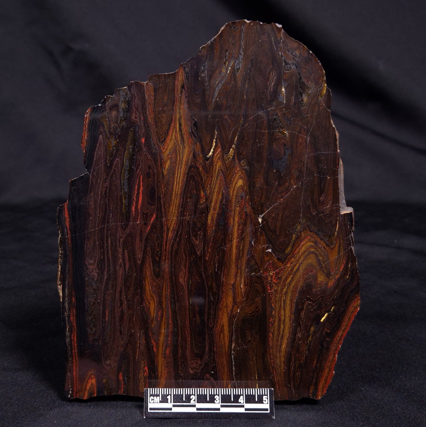 BANDED TIGER IRON MICROBIALITE, Archean, Australia ZBI063