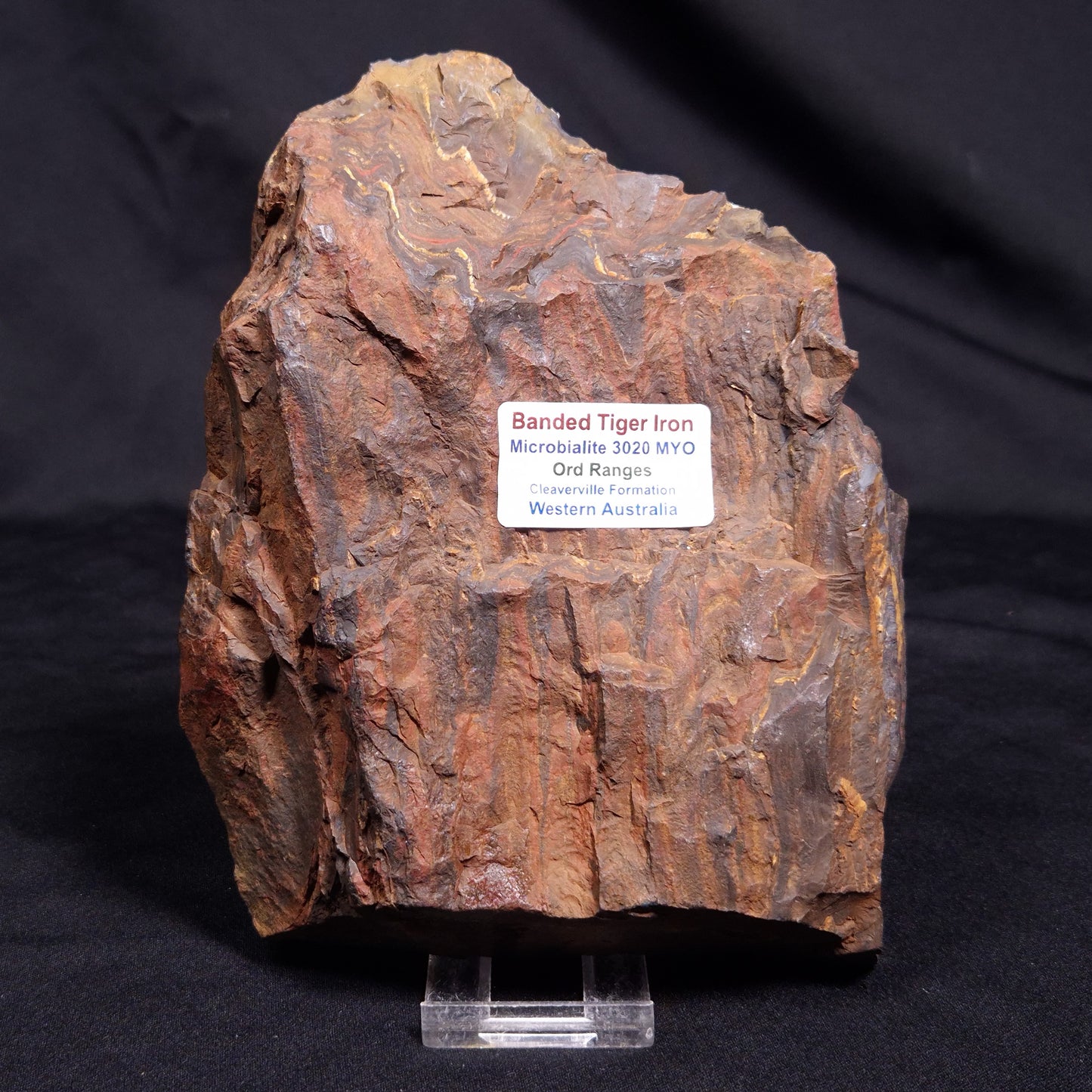 BANDED TIGER IRON MICROBIALITE, Archean, Australia ZBI063