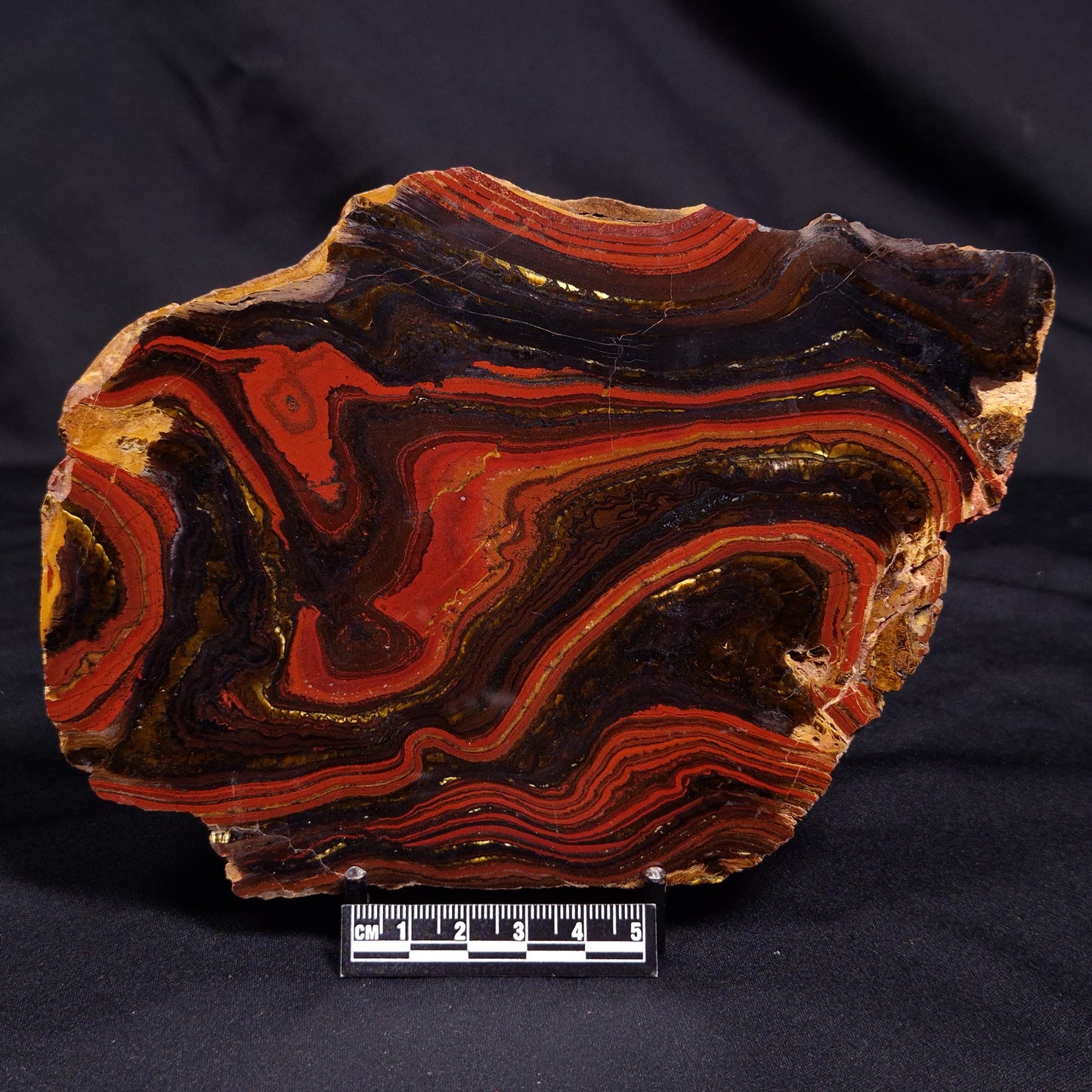 BANDED TIGER IRON MICROBIALITE, Archean, Australia ZBI064