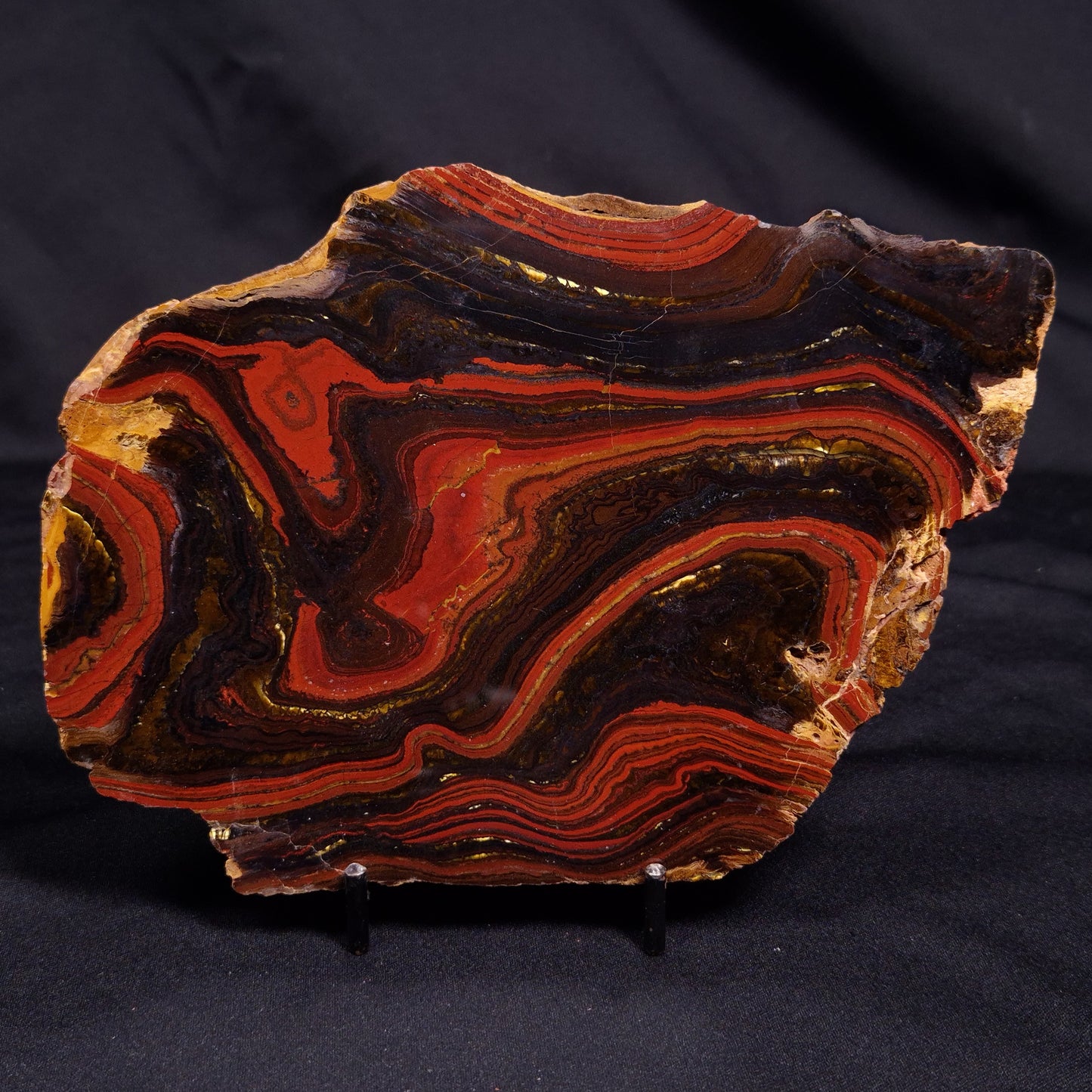 BANDED TIGER IRON MICROBIALITE, Archean, Australia ZBI064
