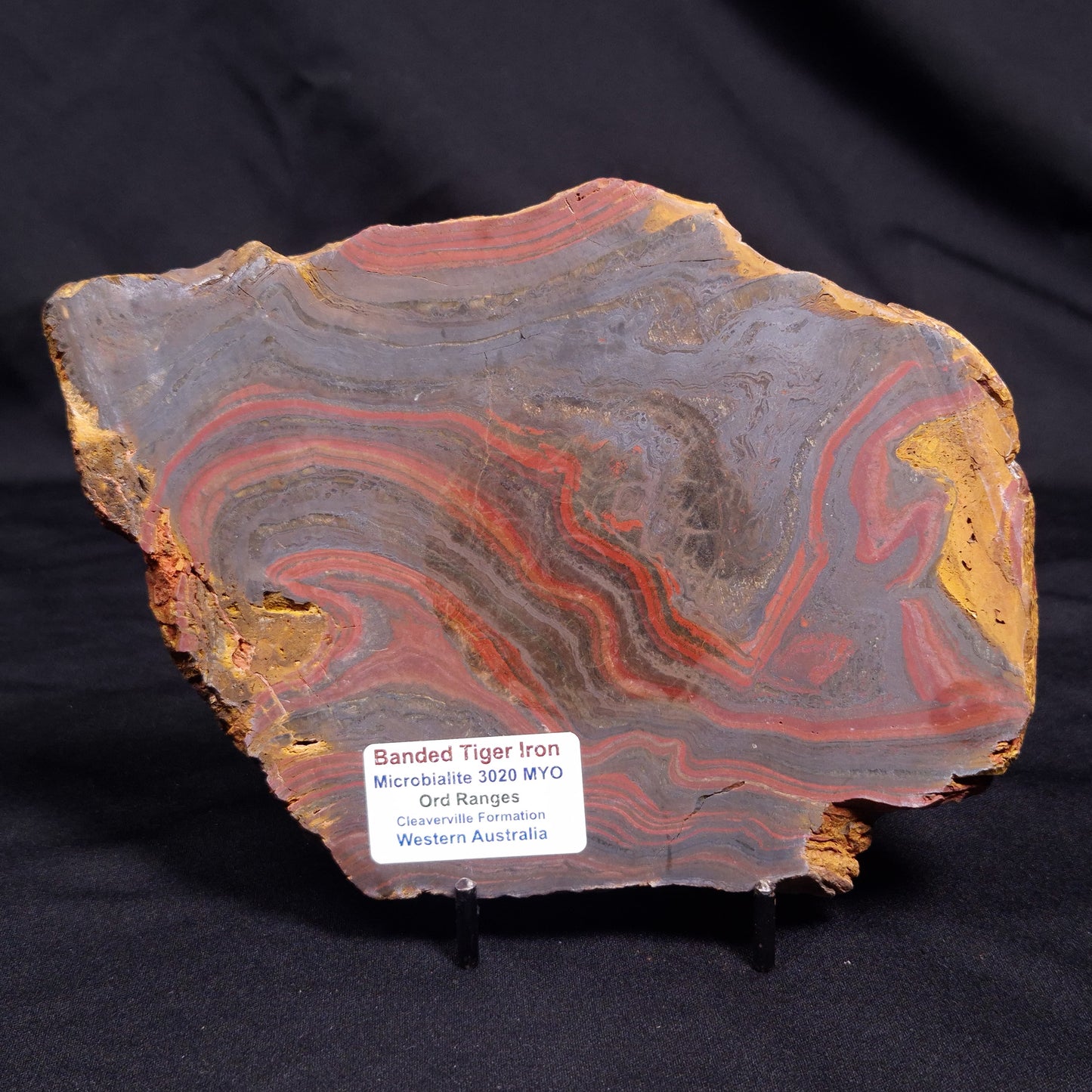 BANDED TIGER IRON MICROBIALITE, Archean, Australia ZBI064