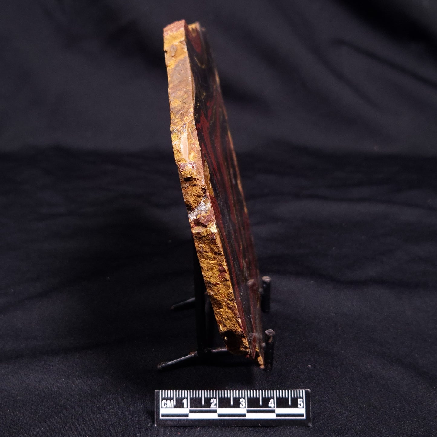 BANDED TIGER IRON MICROBIALITE, Archean, Australia ZBI064