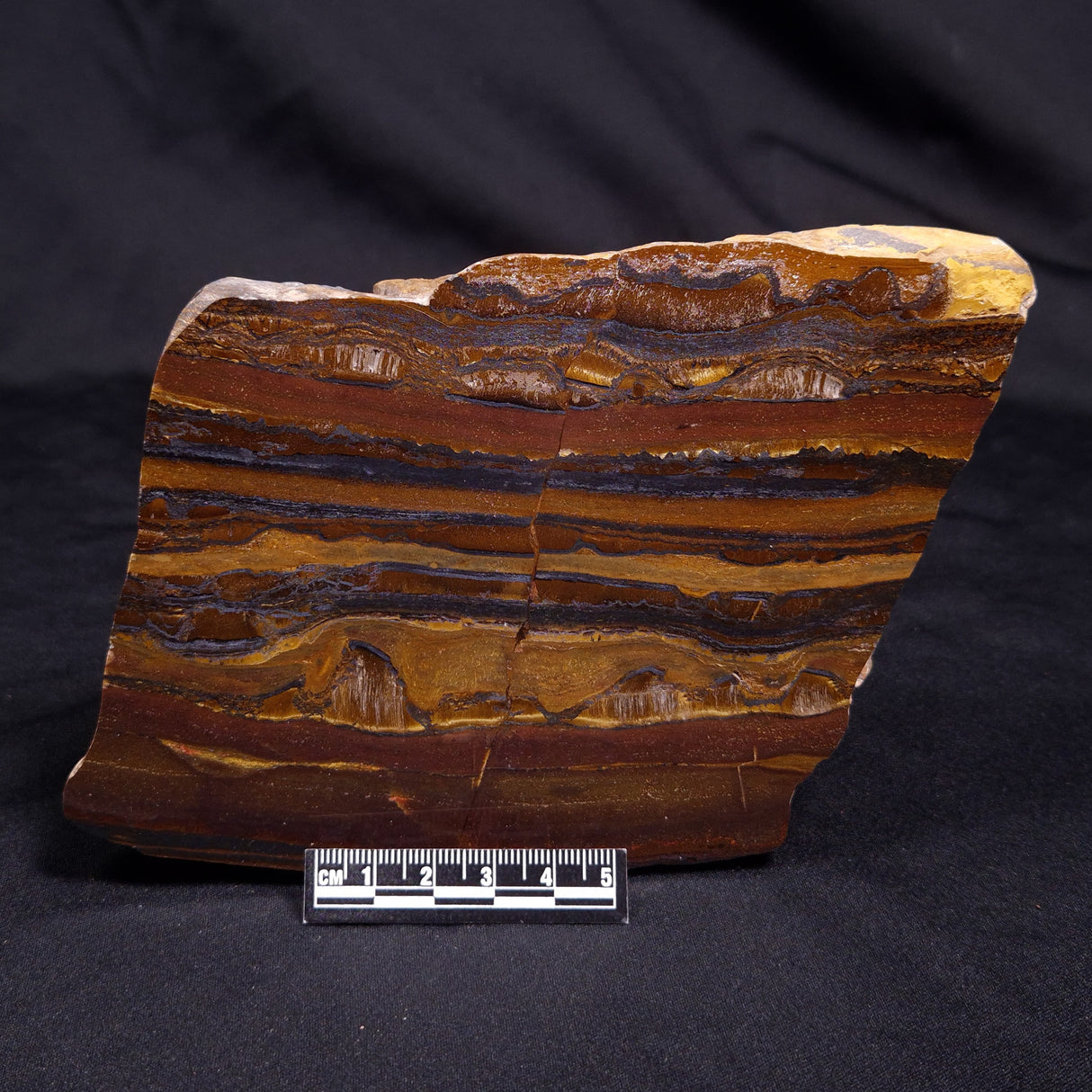 BANDED TIGER IRON MICROBIALITE, Archean, Australia ZBI066