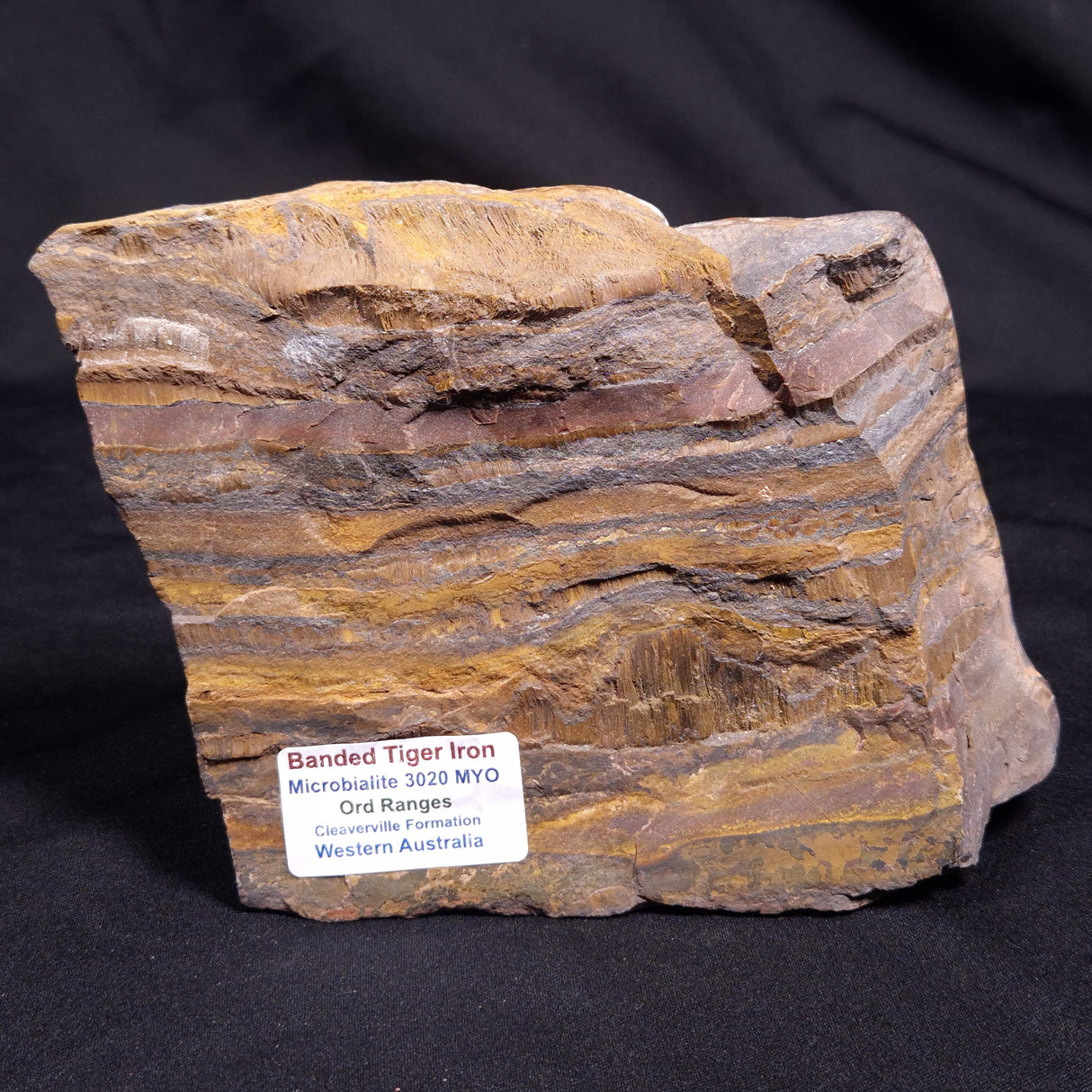 BANDED TIGER IRON MICROBIALITE, Archean, Australia ZBI066