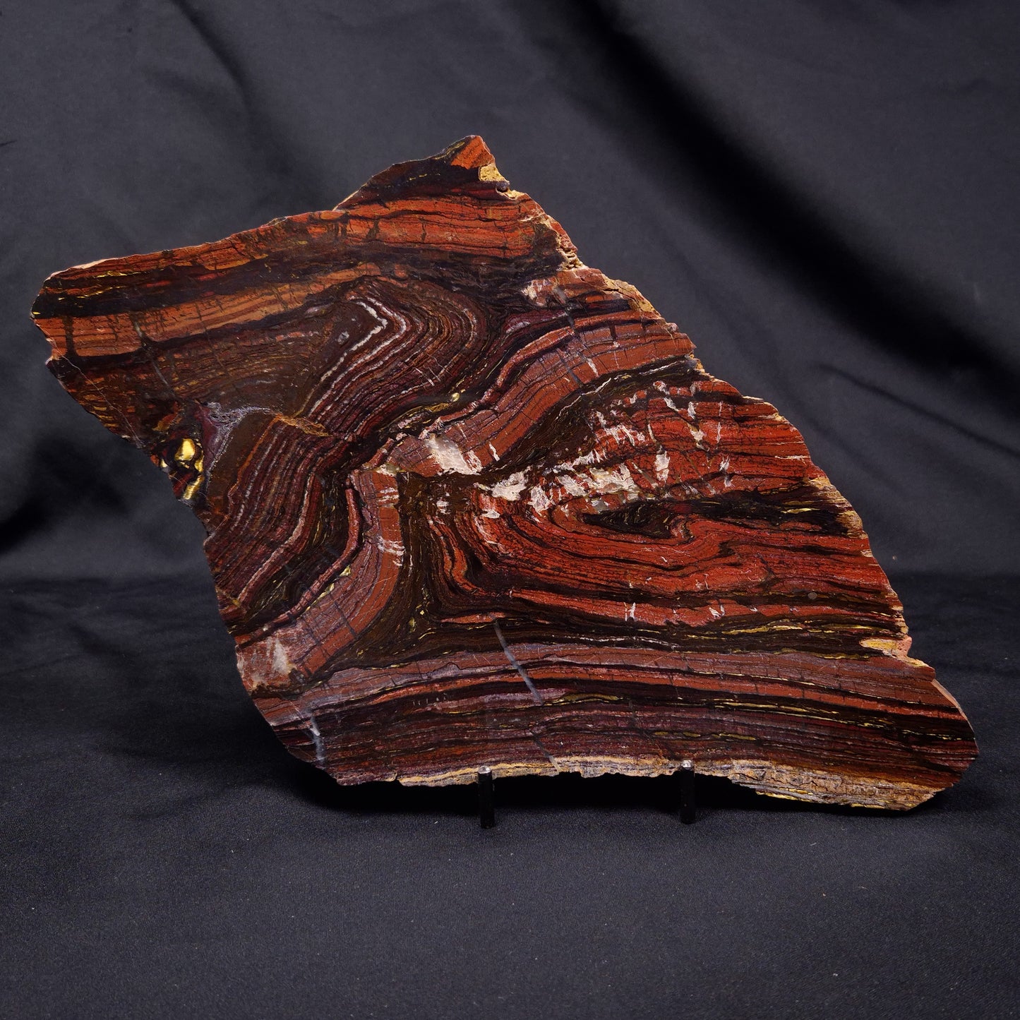 BANDED TIGER IRON MICROBIALITE, Archean, Australia ZBI068