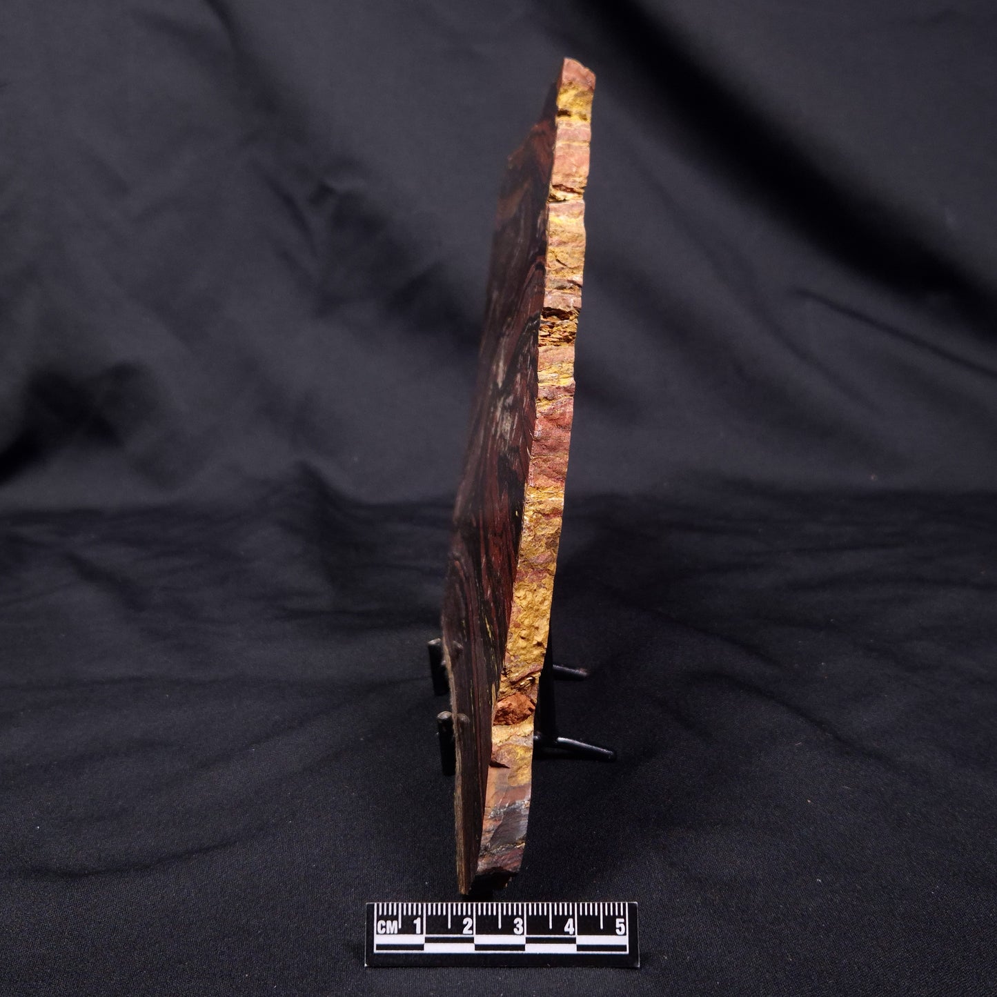 BANDED TIGER IRON MICROBIALITE, Archean, Australia ZBI068