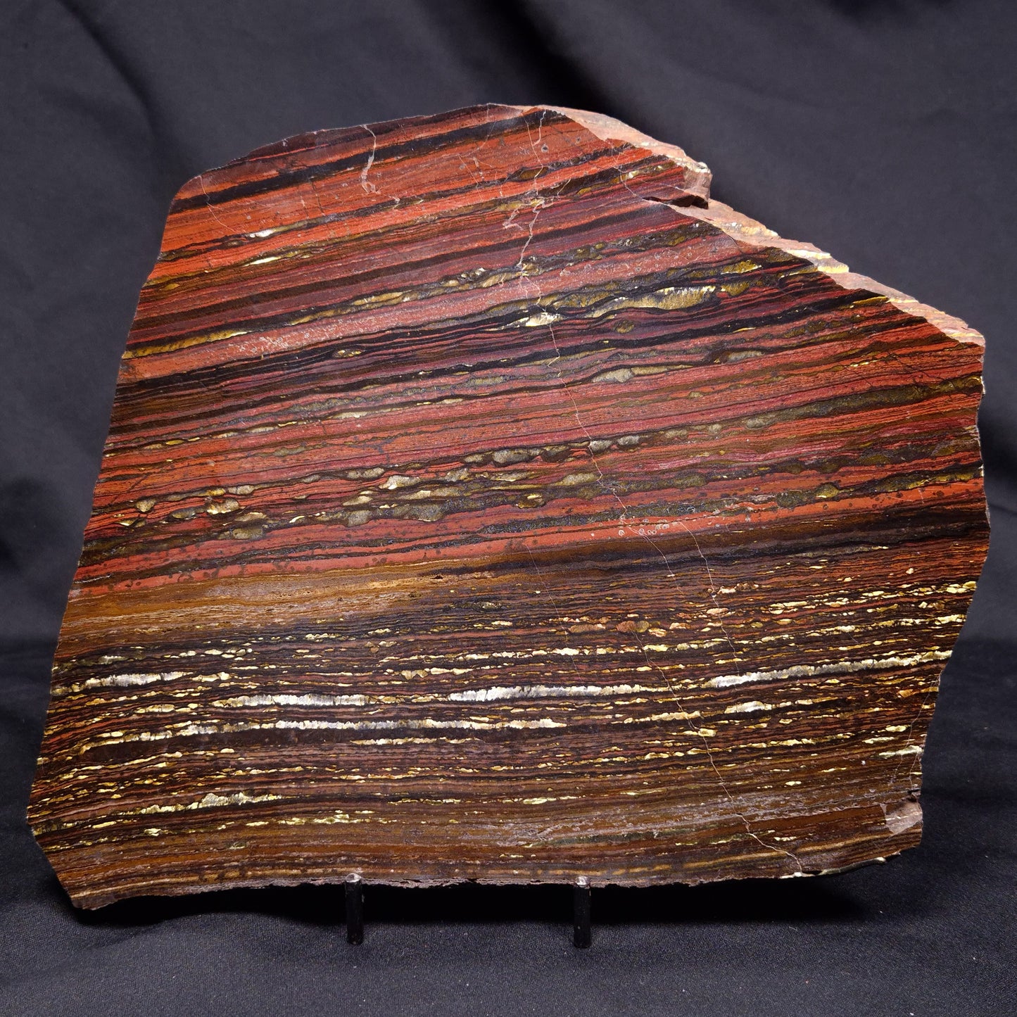 BANDED TIGER IRON MICROBIALITE, Archean, Australia ZBI075