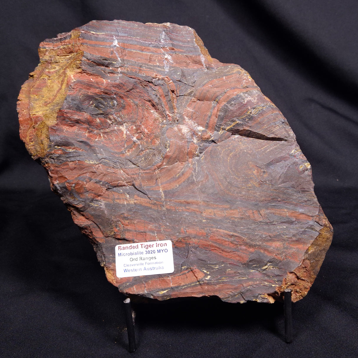 BANDED TIGER IRON MICROBIALITE, Archean, Australia ZBI079