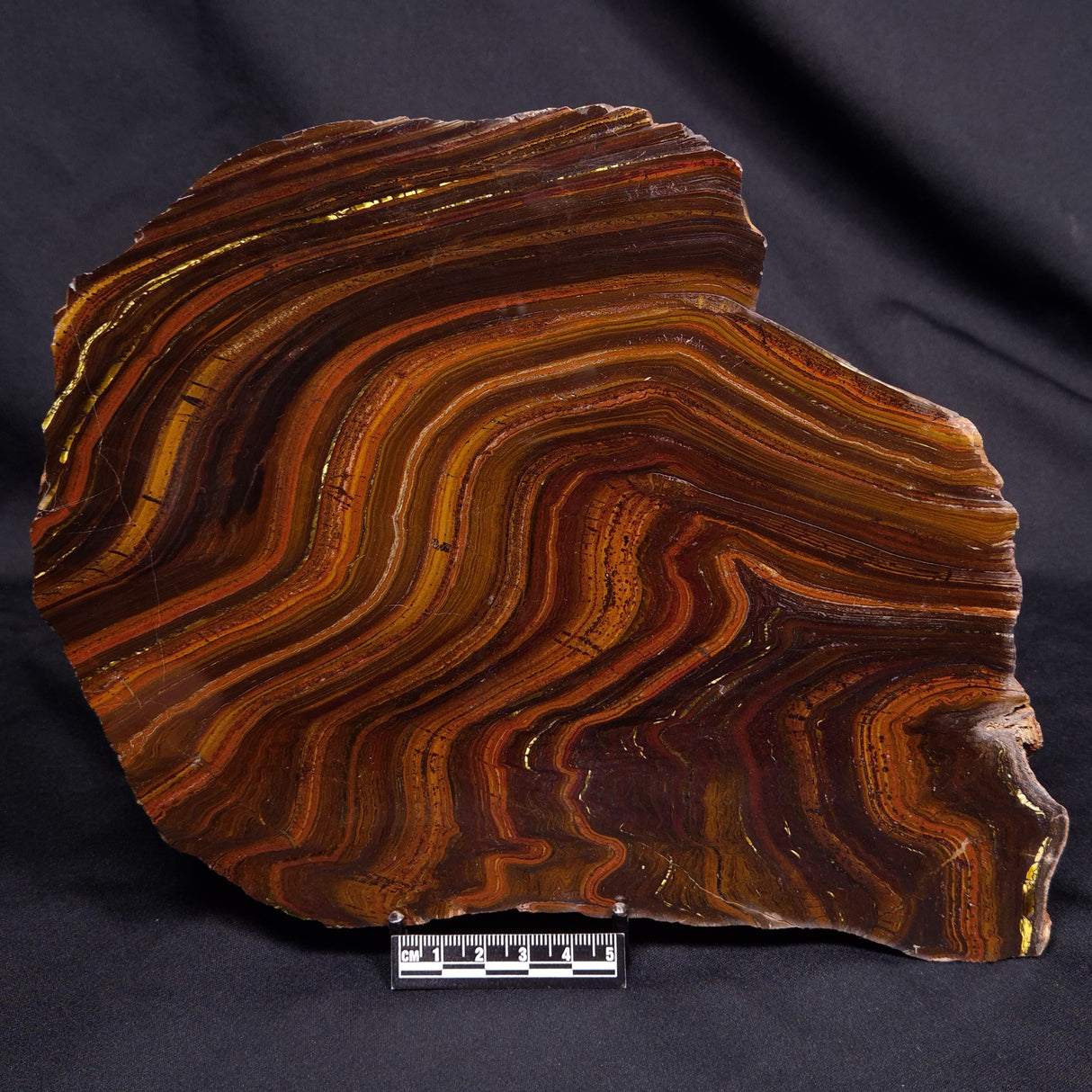 BANDED TIGER IRON MICROBIALITE, Archean, Australia ZBI080