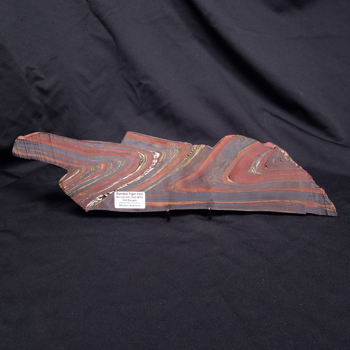 BANDED TIGER IRON MICROBIALITE, Archean, Australia ZBI081