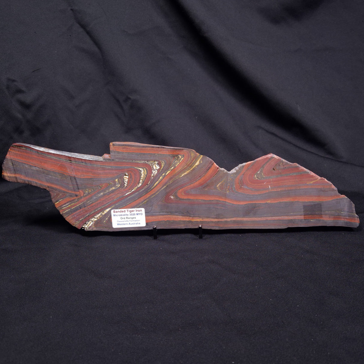 BANDED TIGER IRON MICROBIALITE, Archean, Australia ZBI082