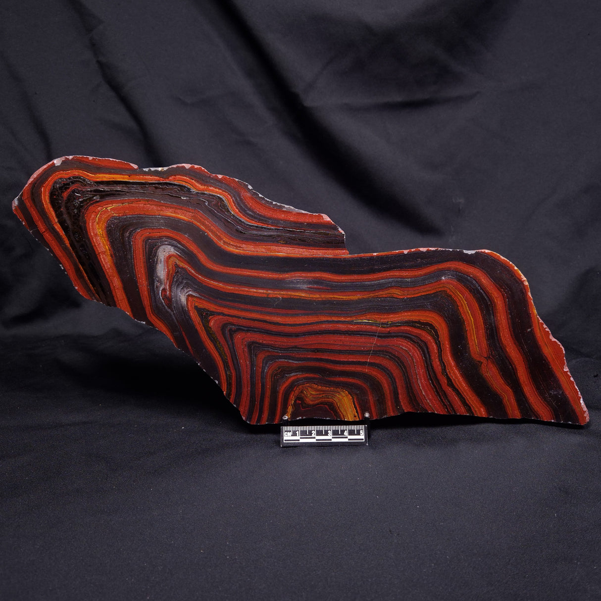 BANDED TIGER IRON MICROBIALITE, Archean, Australia ZBI083