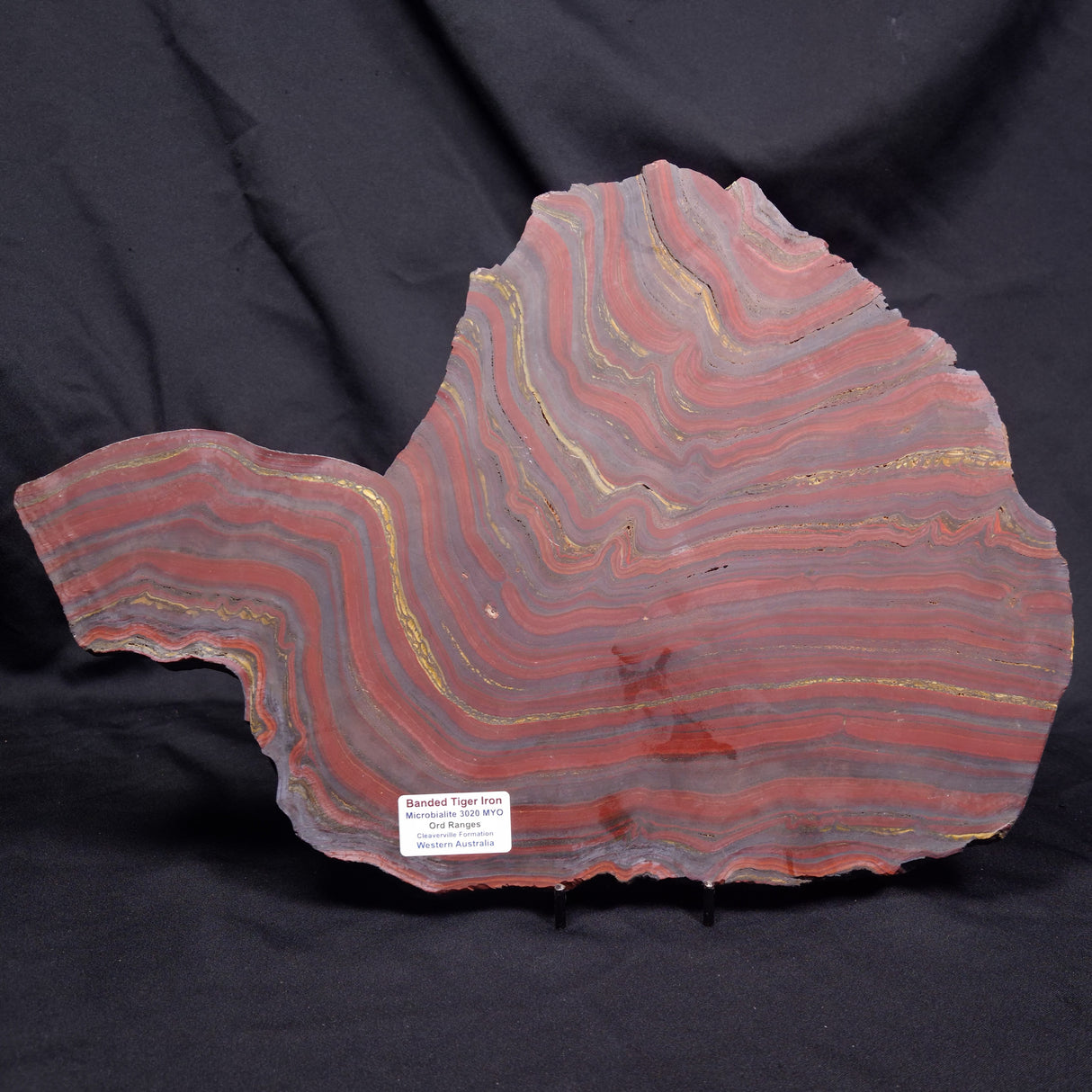 BANDED TIGER IRON MICROBIALITE, Archean, Australia ZBI085