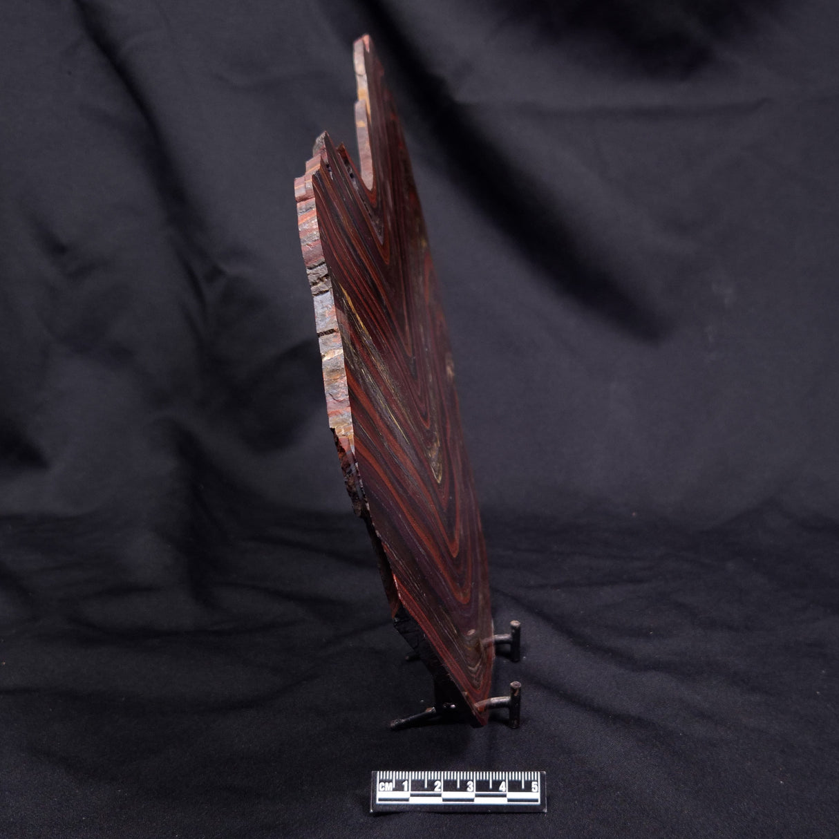 BANDED TIGER IRON MICROBIALITE, Archean, Australia ZBI086