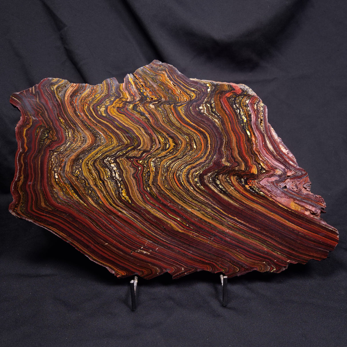 BANDED TIGER IRON MICROBIALITE, Archean, Australia ZBI087