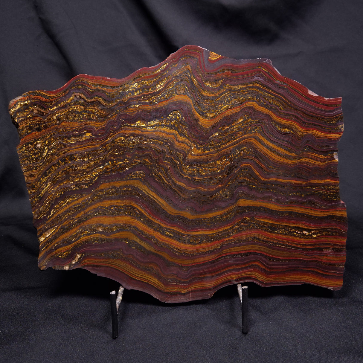 BANDED TIGER IRON MICROBIALITE, Archean, Australia ZBI088