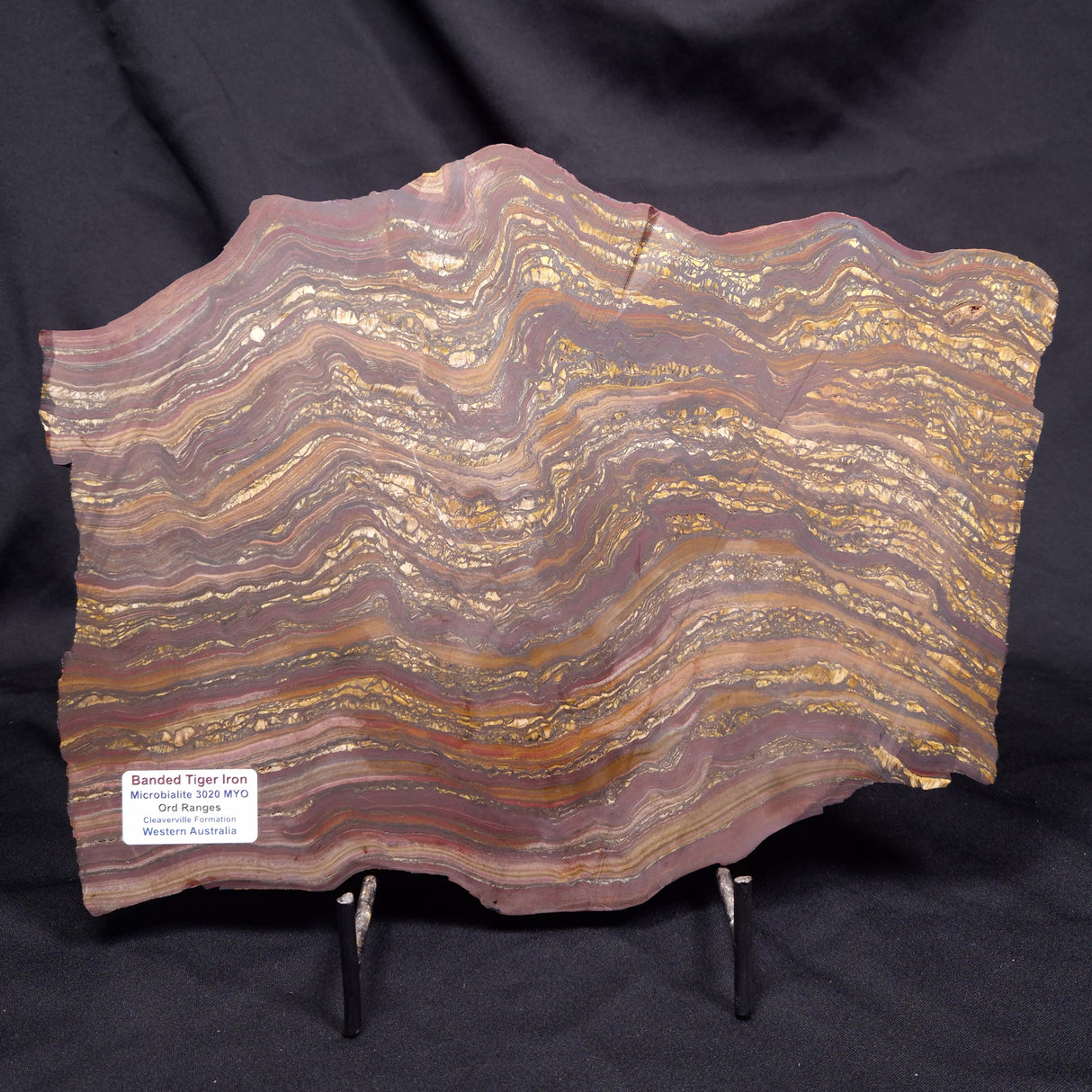 BANDED TIGER IRON MICROBIALITE, Archean, Australia ZBI088