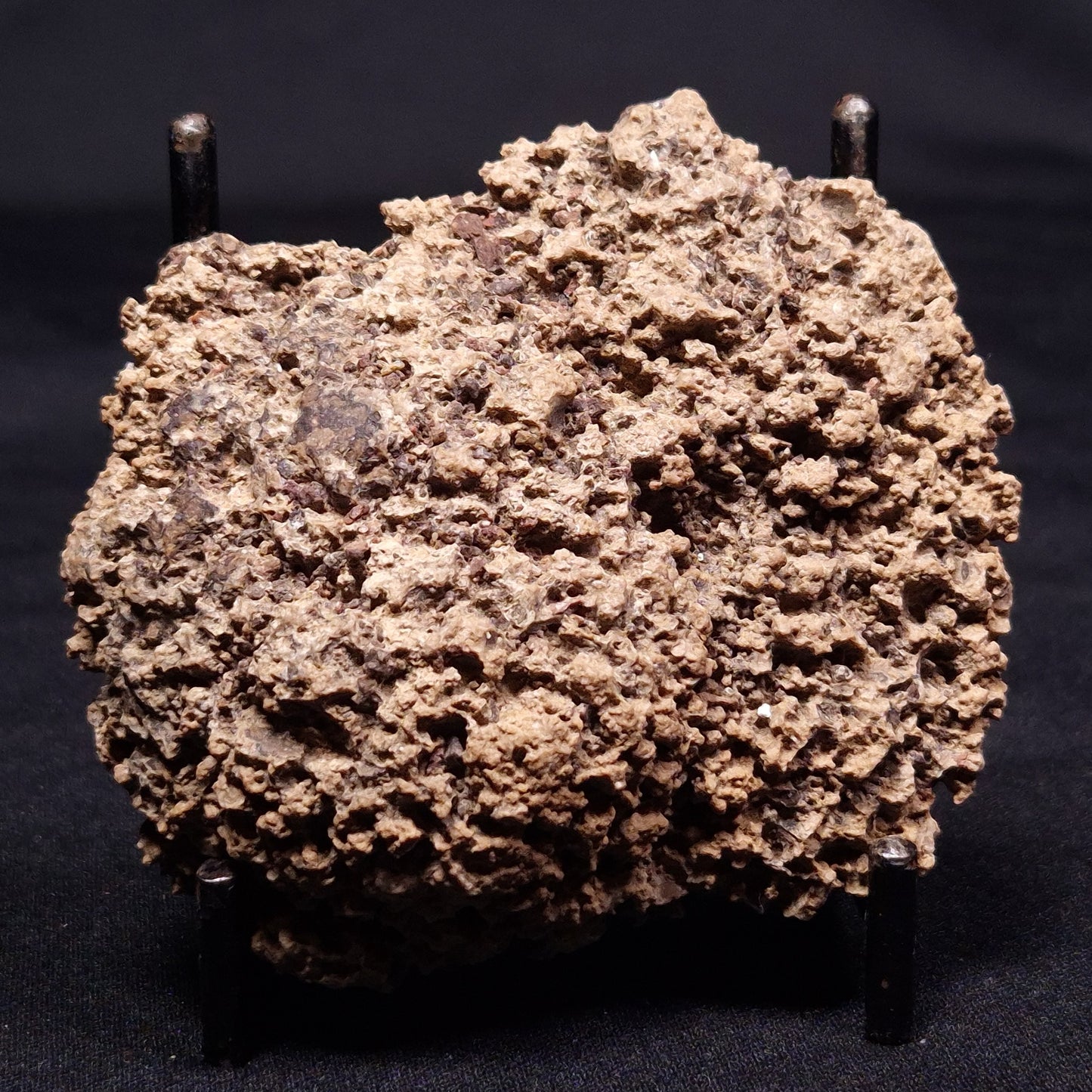 ONCOLITE, Upper Cretaceous, Mexico ZON003