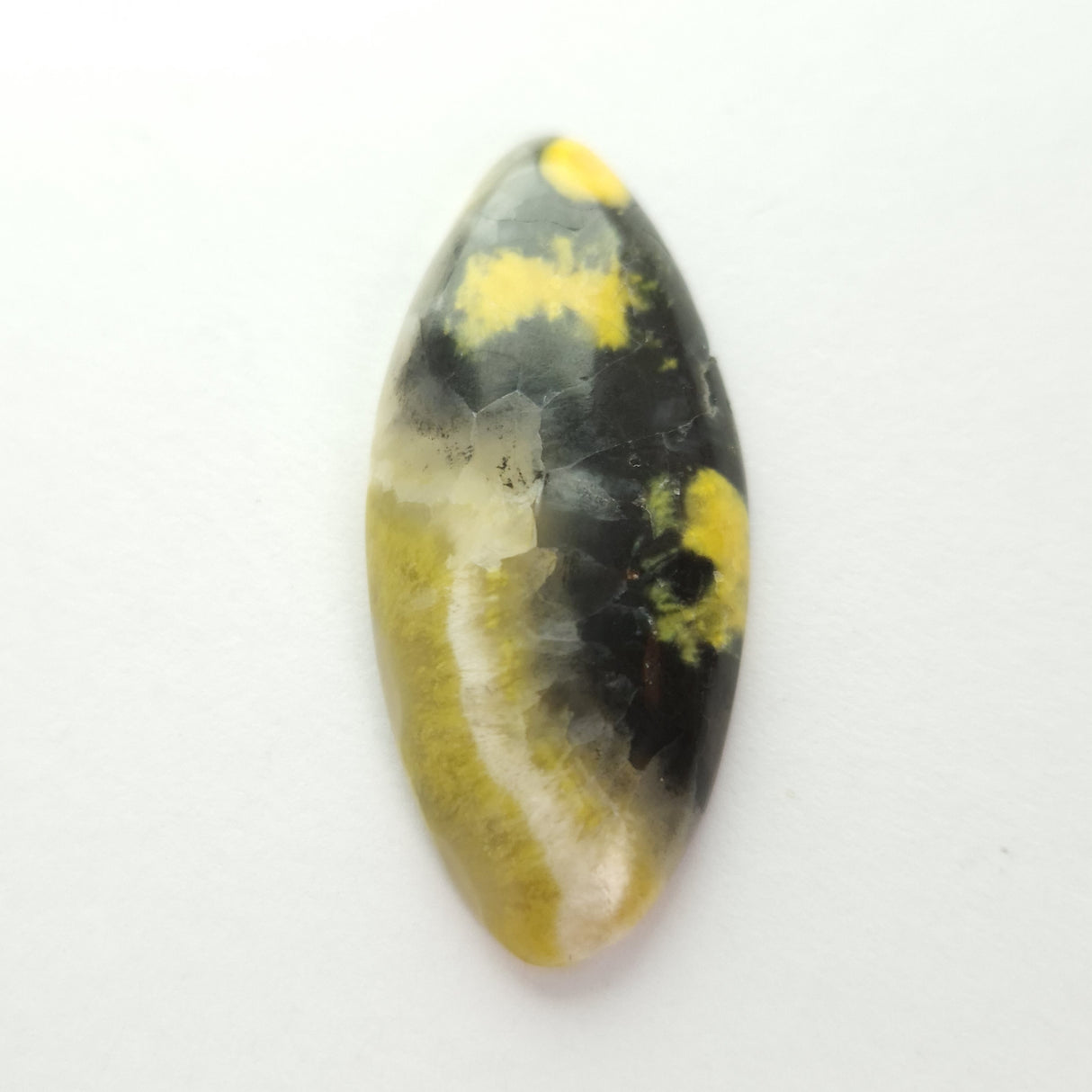 BUMBLEBEE JASPER CABOCHON 3SSBJC3