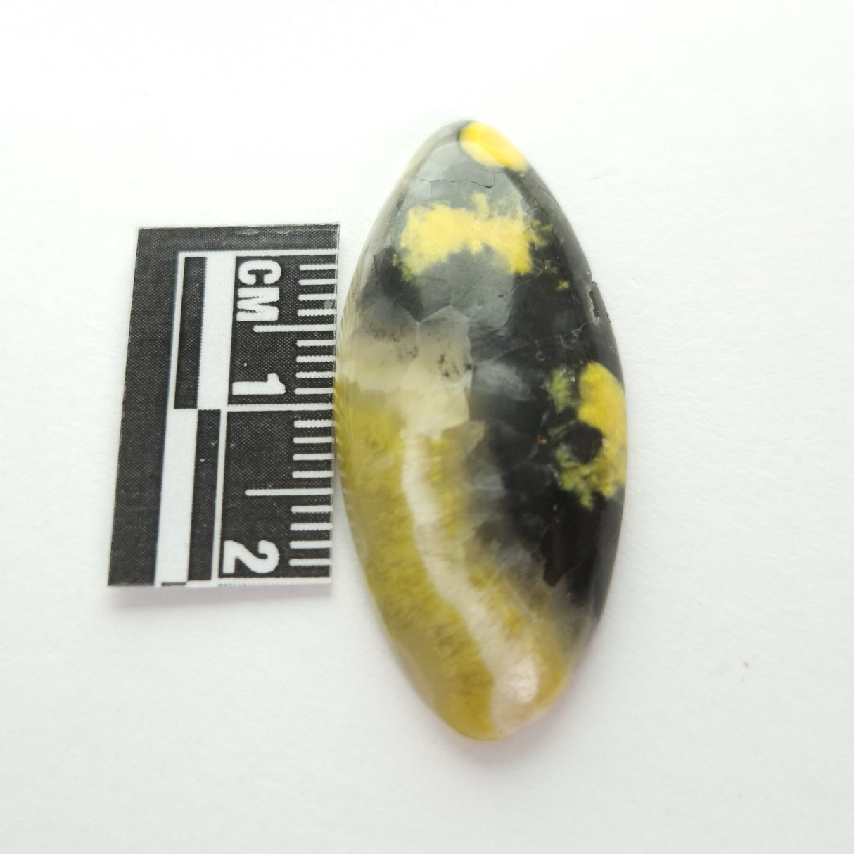 BUMBLEBEE JASPER CABOCHON 3SSBJC3