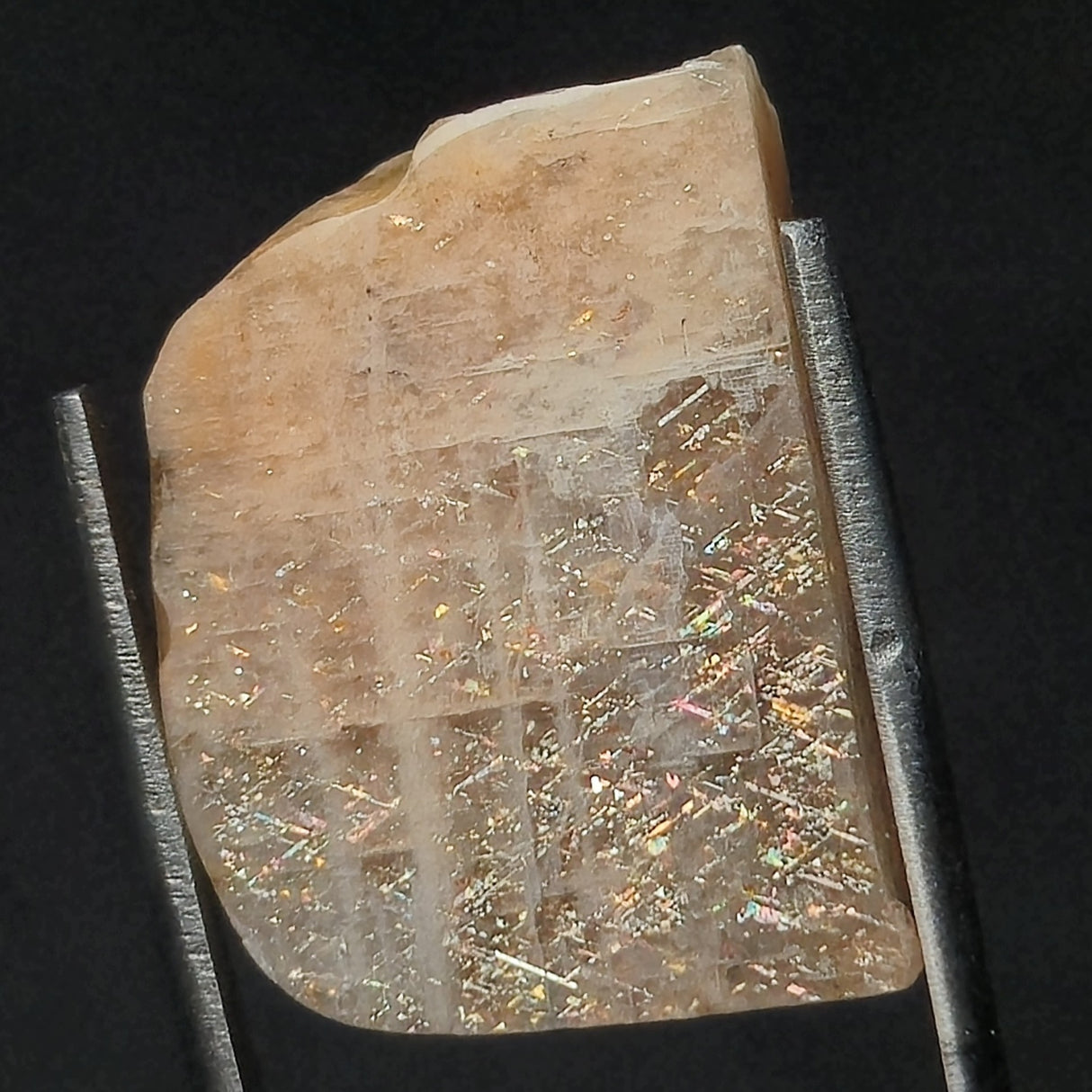 RAINBOW LATTICE SUNSTONE, Australia XLF004