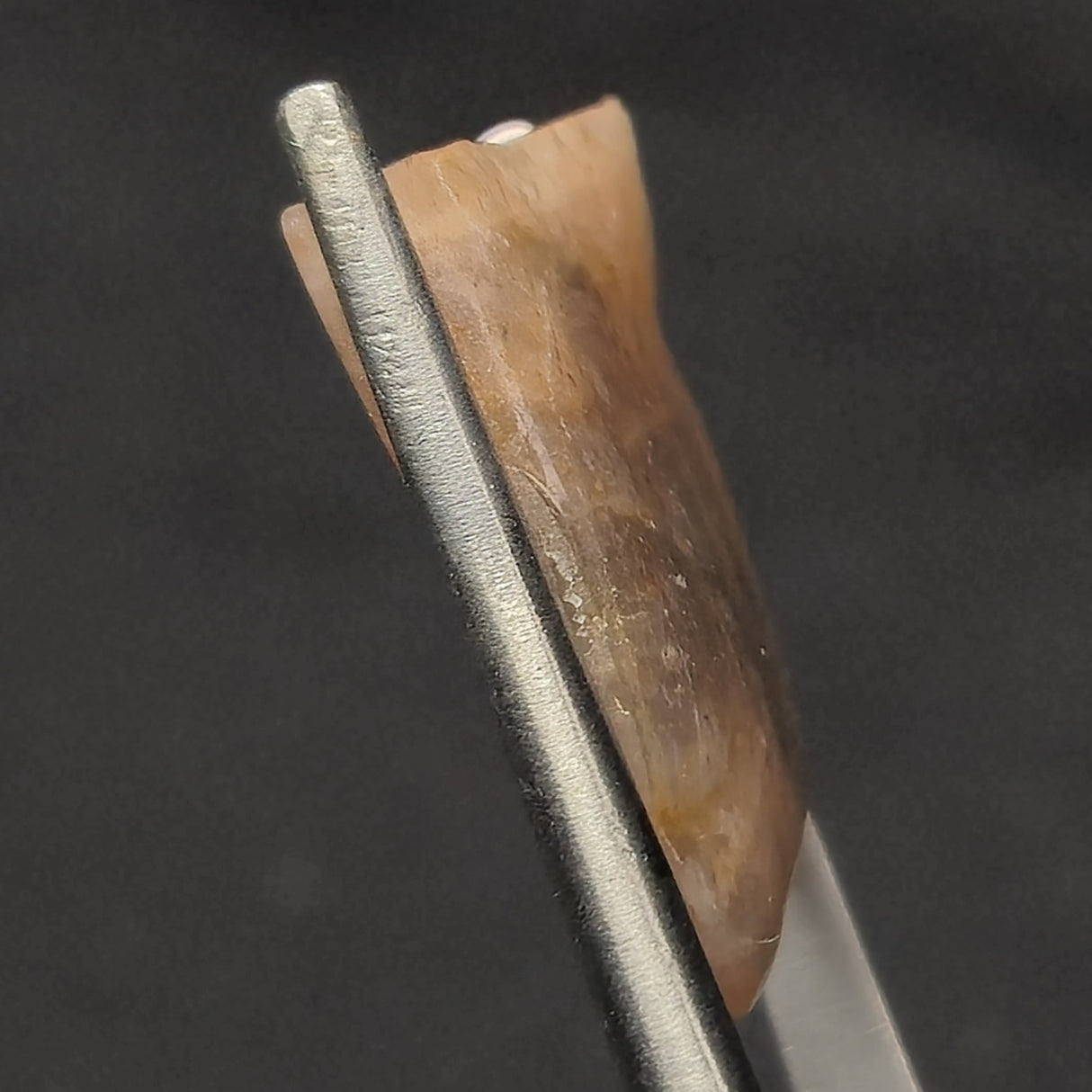 RAINBOW LATTICE SUNSTONE, Australia XLF010