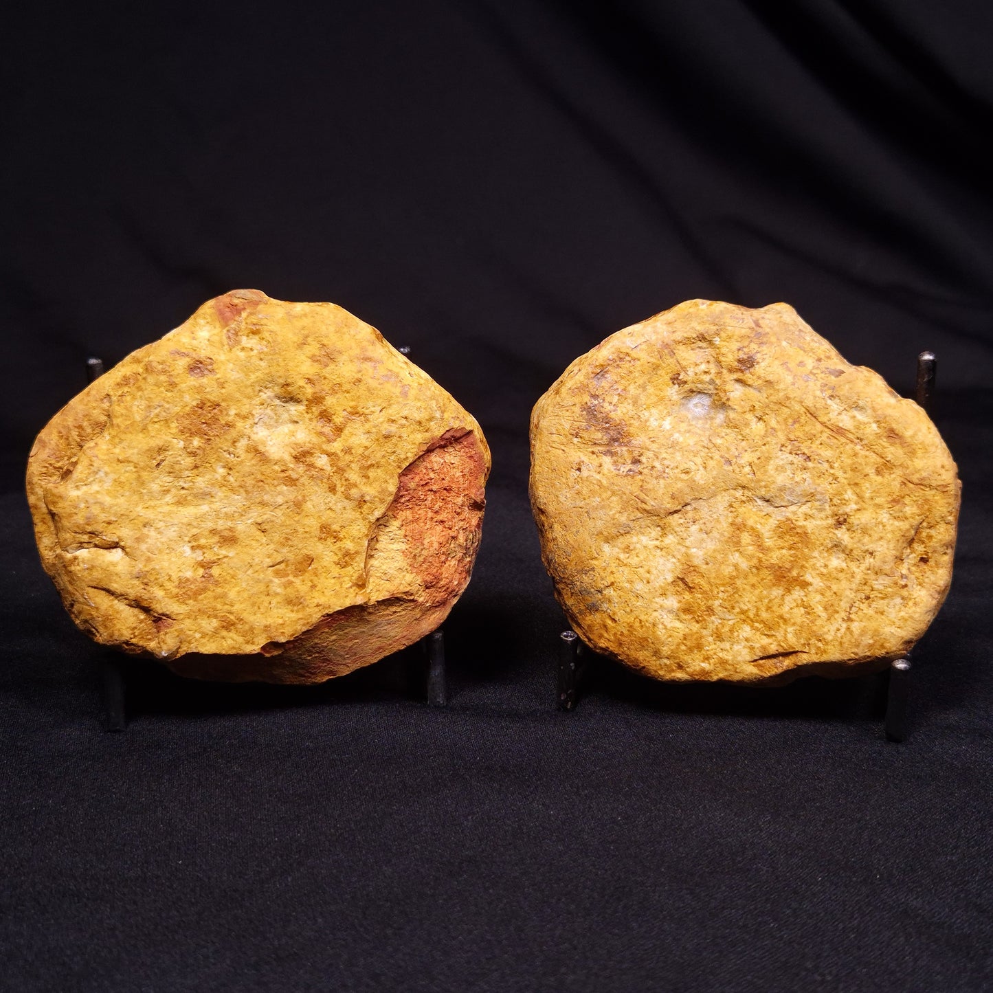 PETRIFIED WOOD PAIR, Australia YSC091