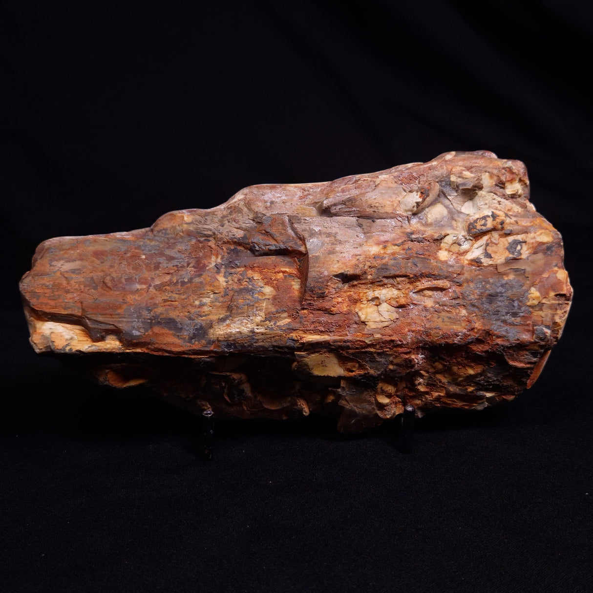 PEANUT WOOD PETRIFIED WOOD, Cretaceous, Australia ZPW013