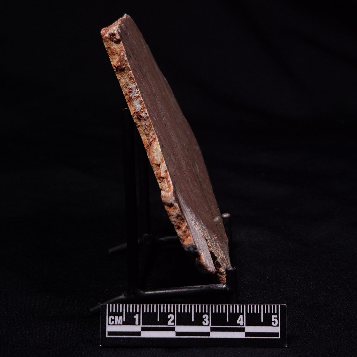 STROMATOLITE MICROBIAL MAT, Strelley Pool Formation, Archean, Australia ZSP051