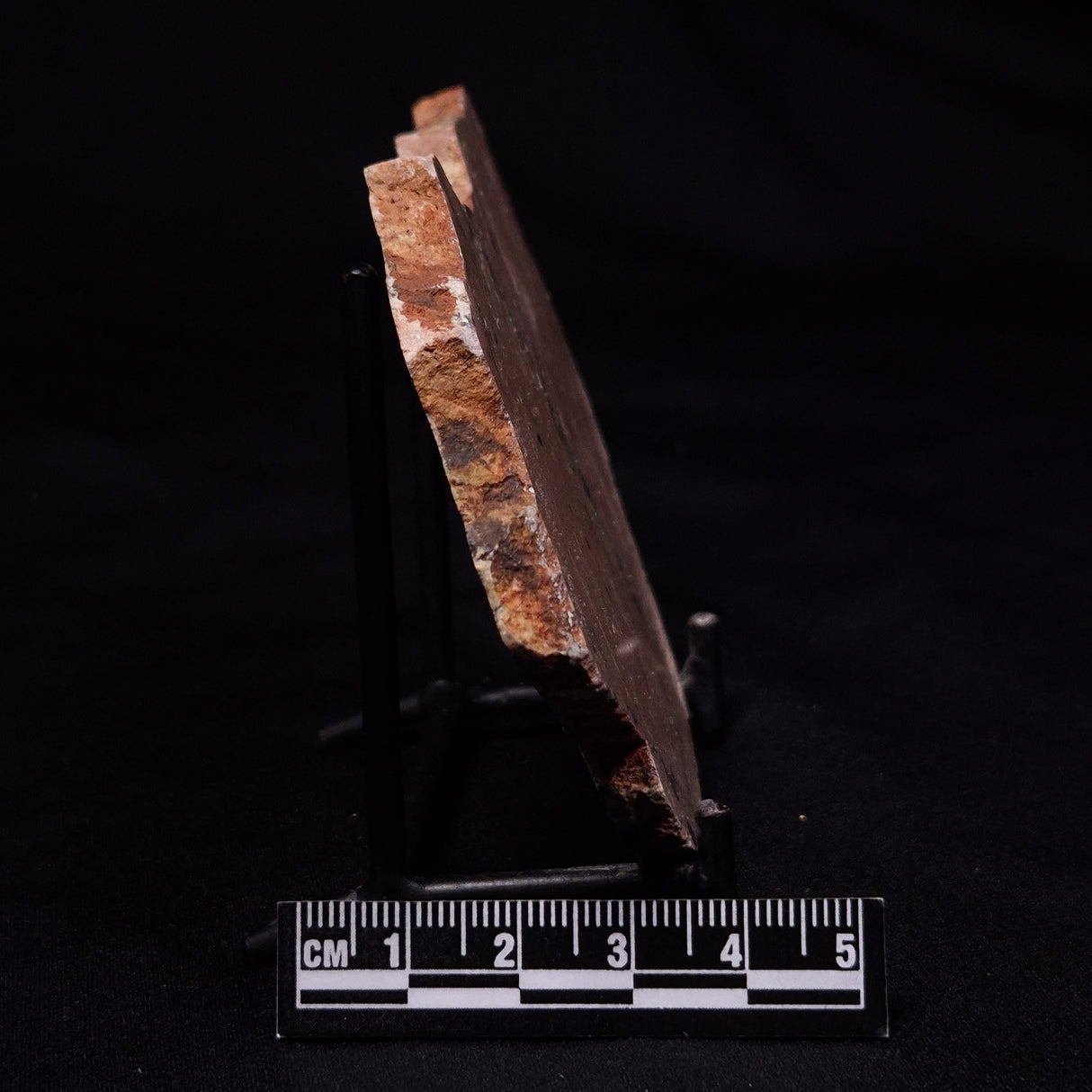 STROMATOLITE MICROBIAL MAT, Strelley Pool Formation, Archean, Australia ZSP052