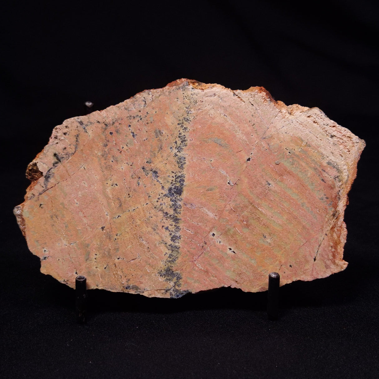 STROMATOLITE MICROBIAL MAT, Strelley Pool Formation, Archean, Australia ZSP053