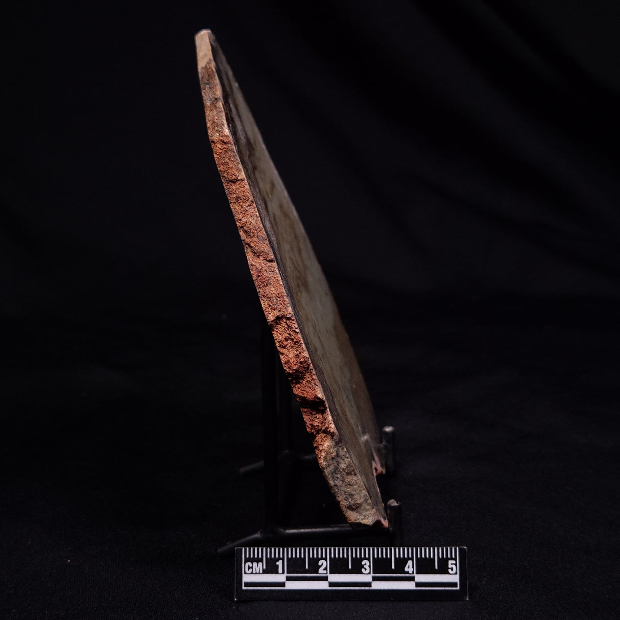 STROMATOLITE MICROBIAL MAT, Strelley Pool Formation, Archean, Australia ZSP055