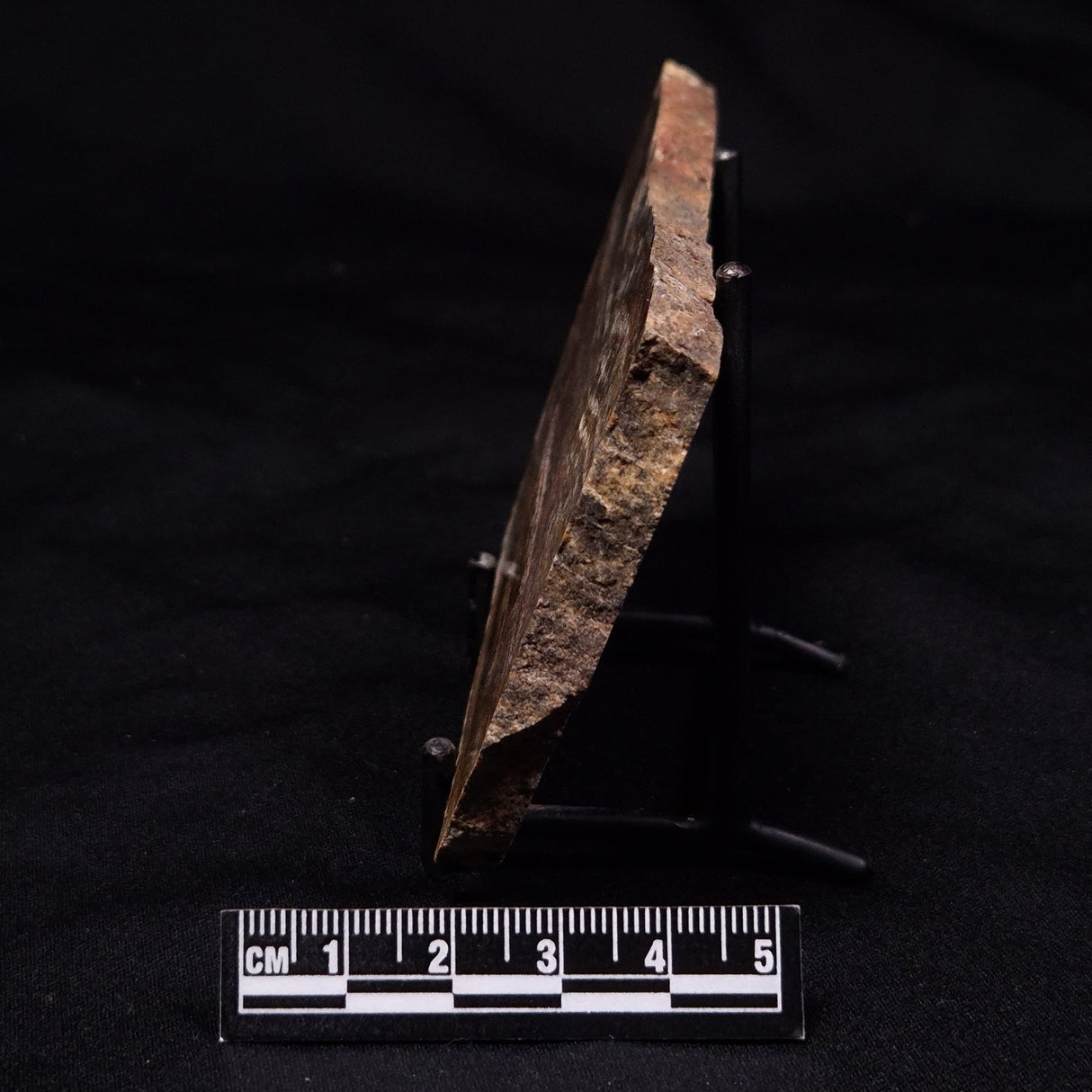 STROMATOLITE MICROBIAL MAT, Strelley Pool Formation, Archean, Australia ZSP058