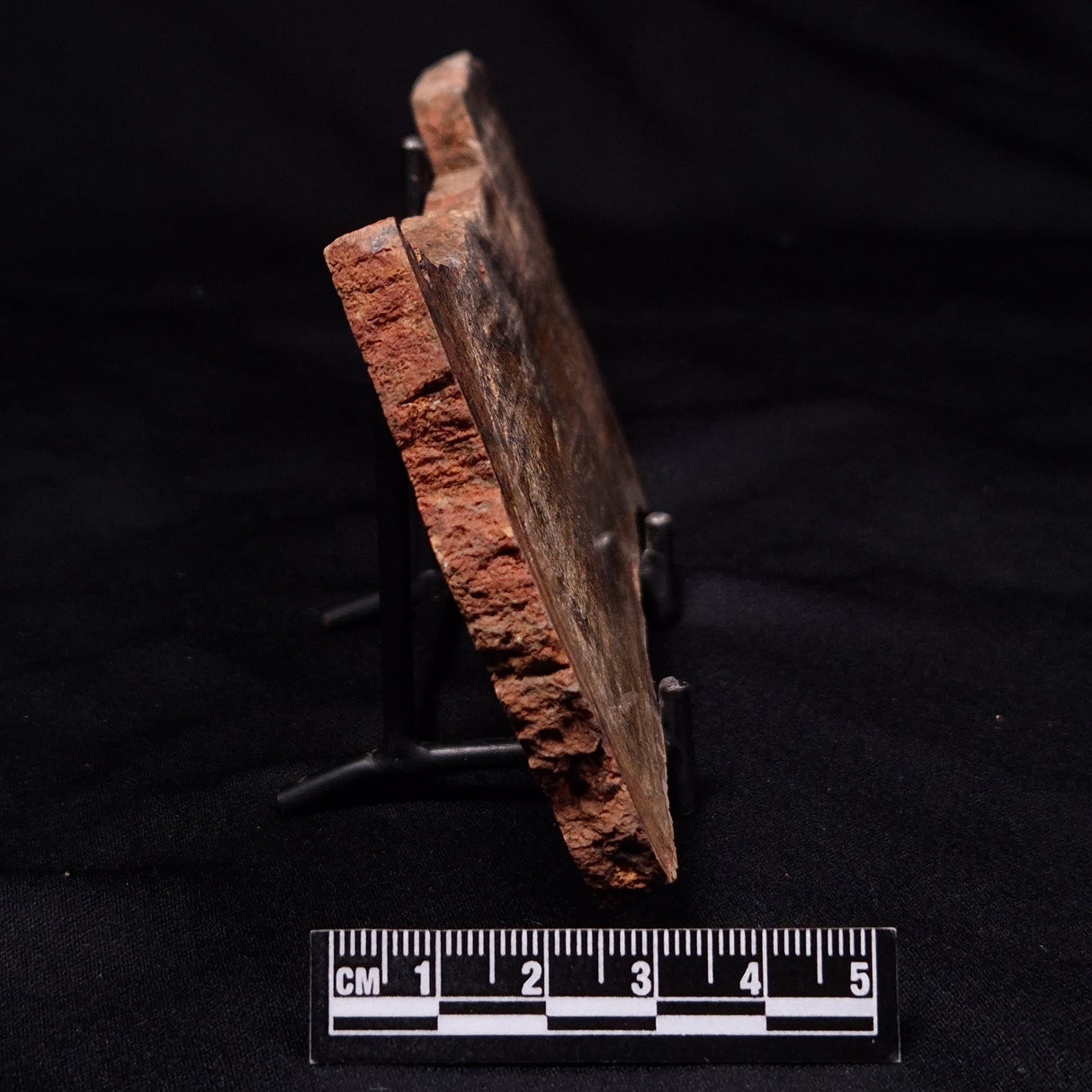 STROMATOLITE MICROBIAL MAT, Strelley Pool Formation, Archean, Australia ZSP060