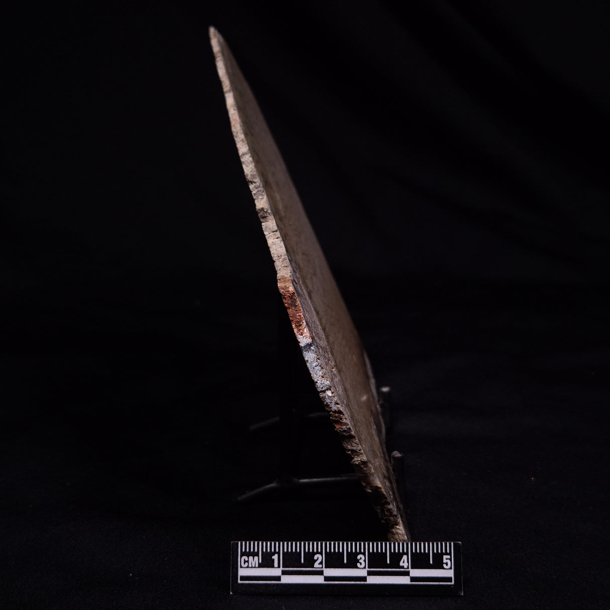 STROMATOLITE MICROBIAL MAT, Strelley Pool Formation, Archean, Australia ZSP045